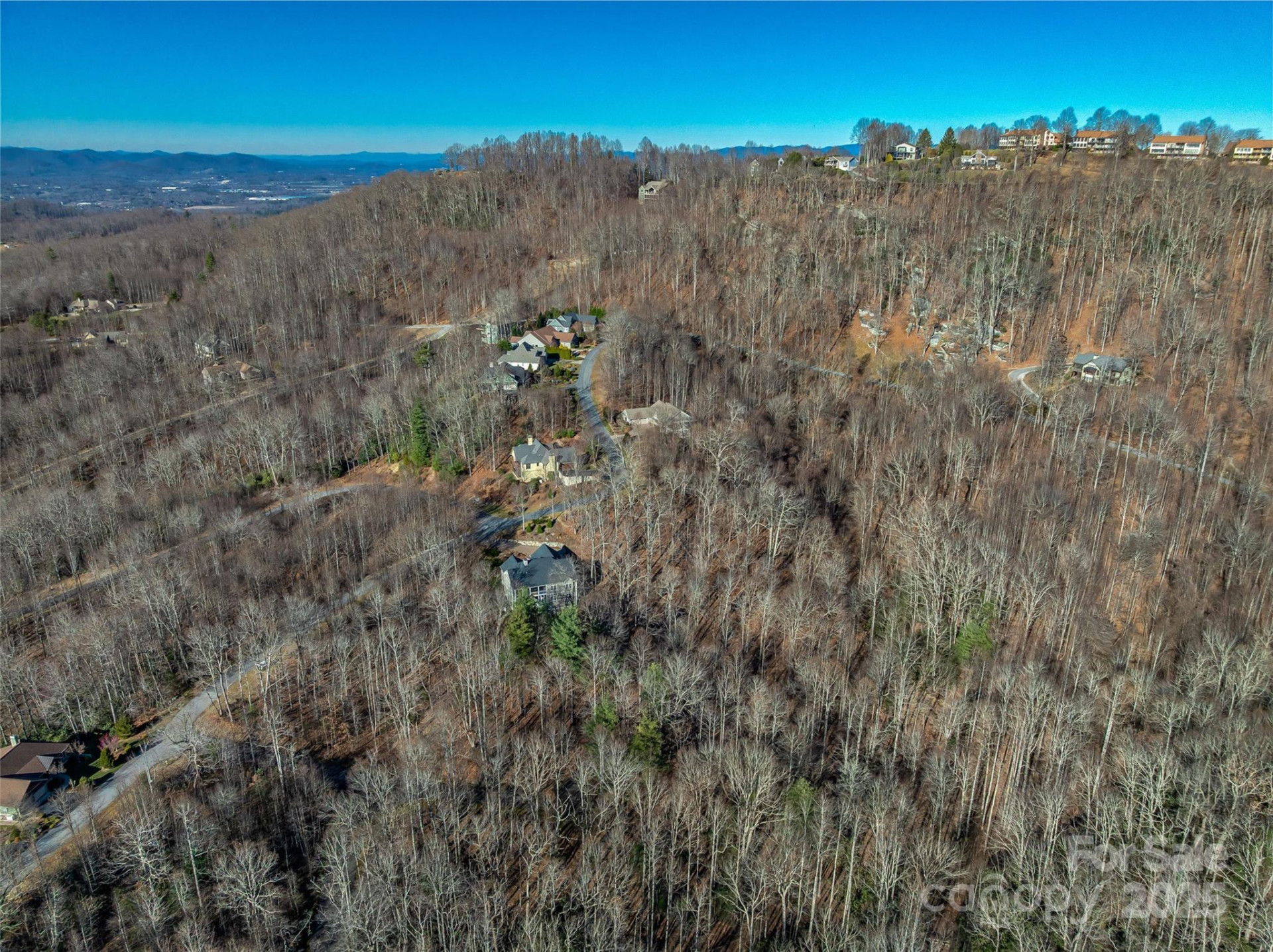 TBD Ladys Fern Trail #10 - Photo 4