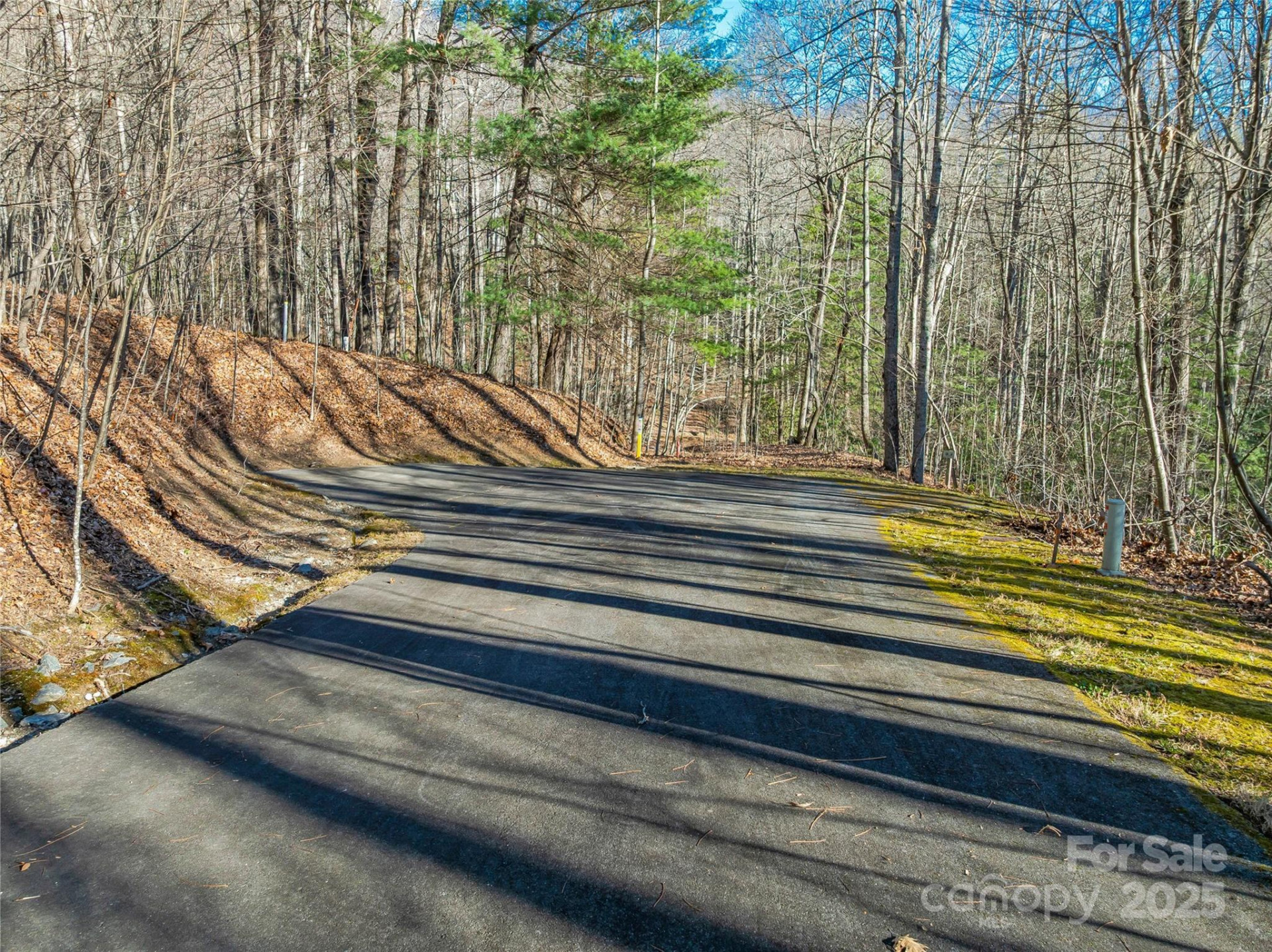TBD Ladys Fern Trail #10 - Photo 6