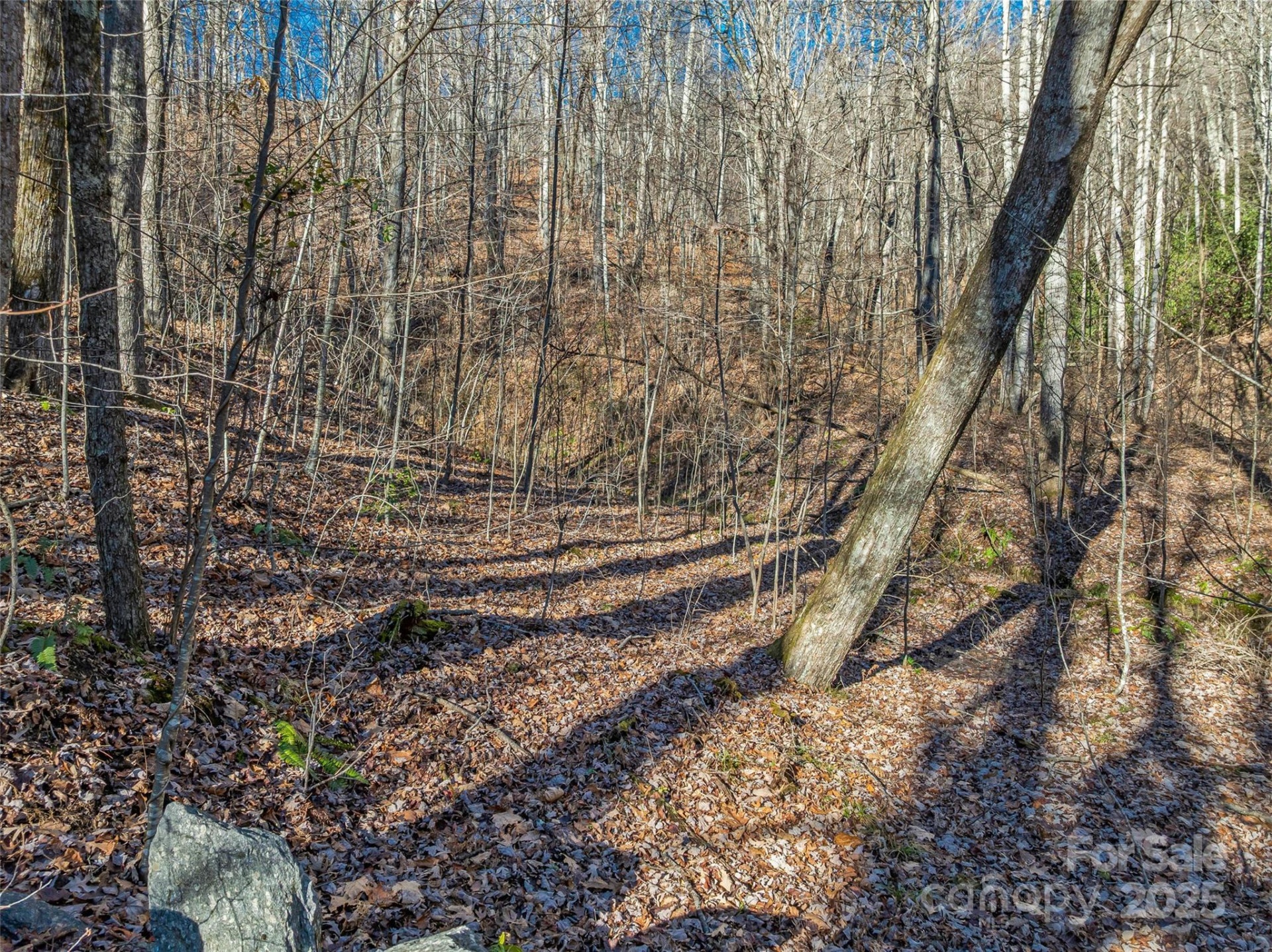 TBD Ladys Fern Trail #10 - Photo 9