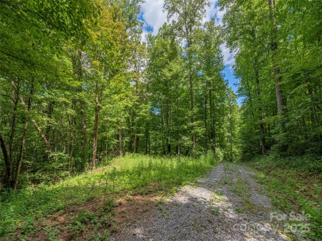 000 Flowing Brook Lane