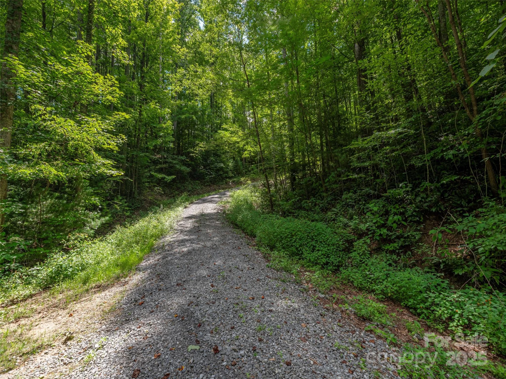 000 Flowing Brook Lane #3 - Photo 4