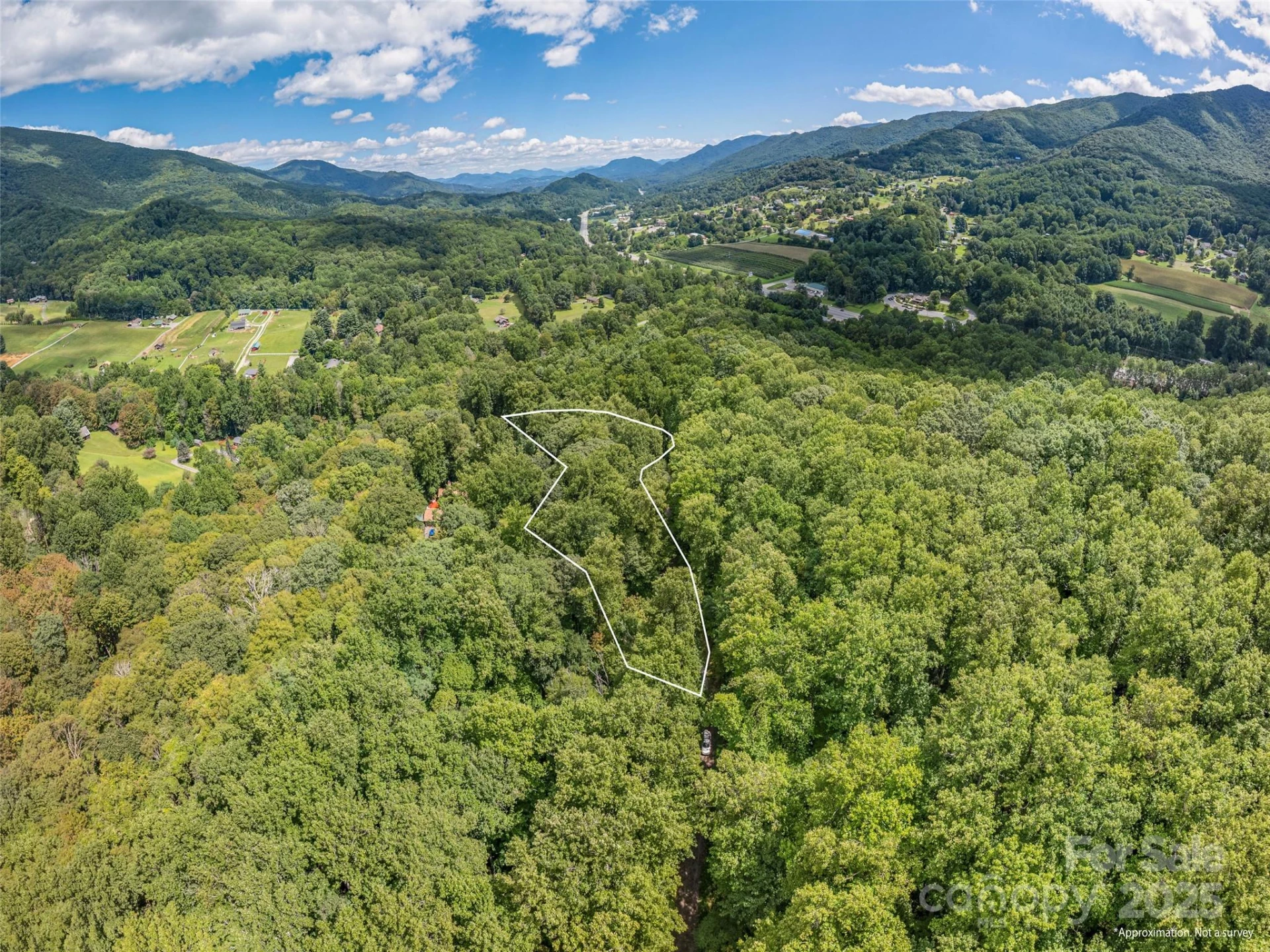 000 Flowing Brook Lane #3 - Photo 5