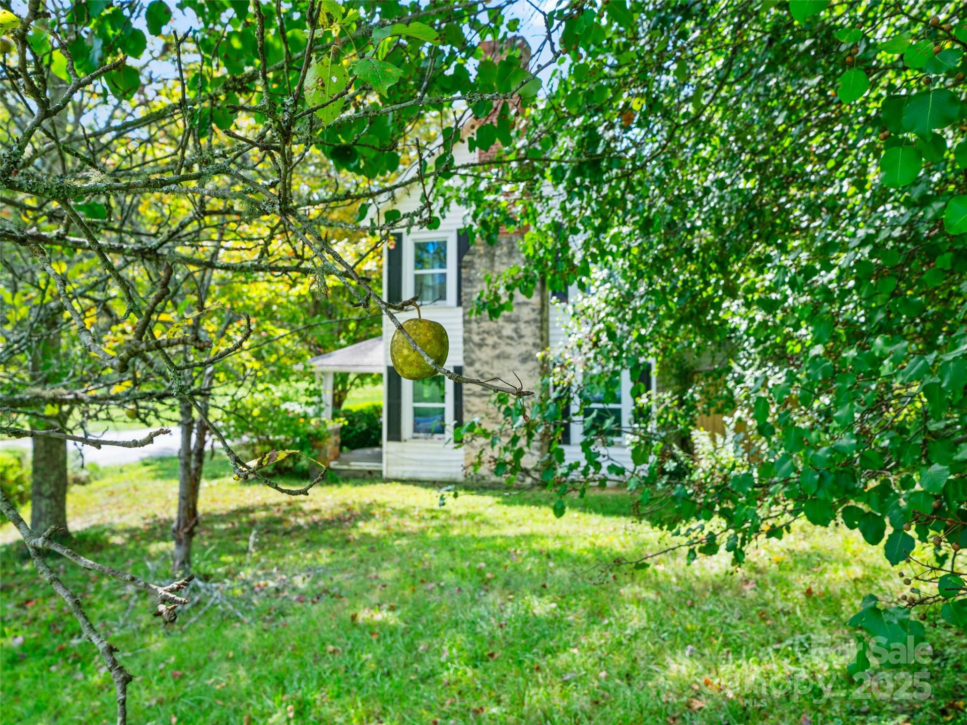 4085 Jacks Creek Road - Photo 21