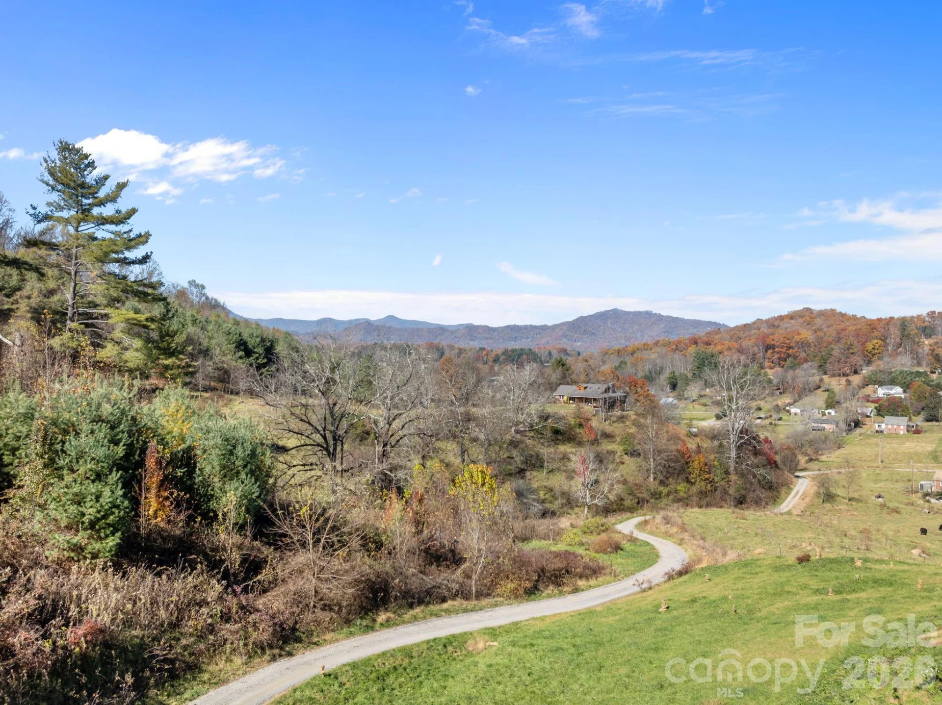 94 Leopard Drive - Photo 4