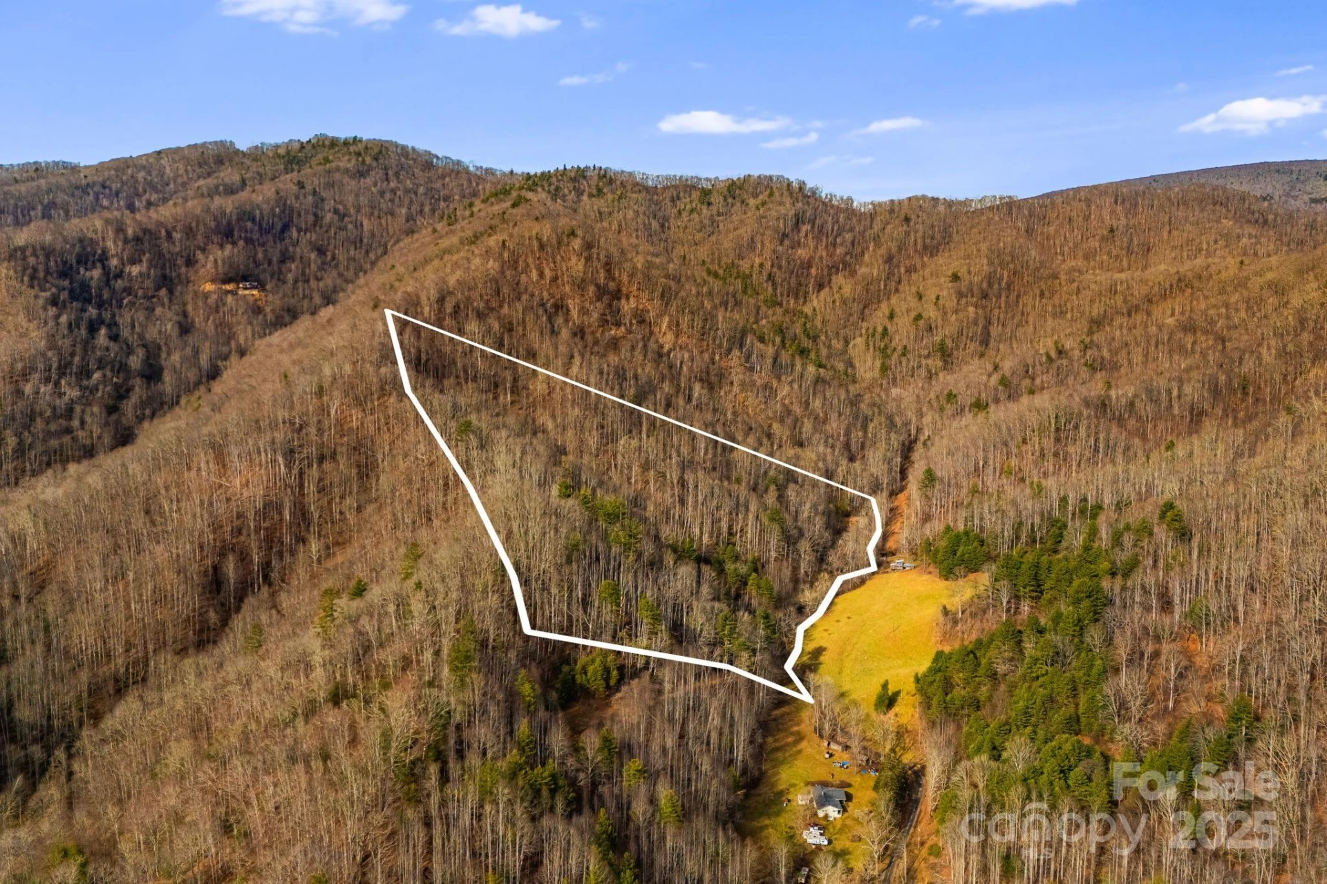 TBD Lost Hollow Road - Photo 2
