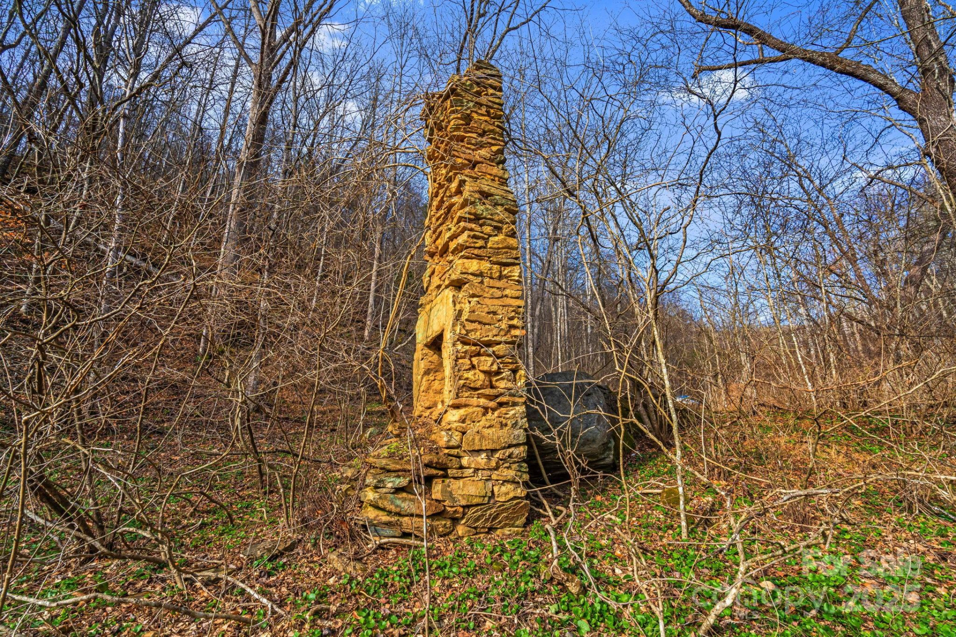 TBD Lost Hollow Road - Photo 11