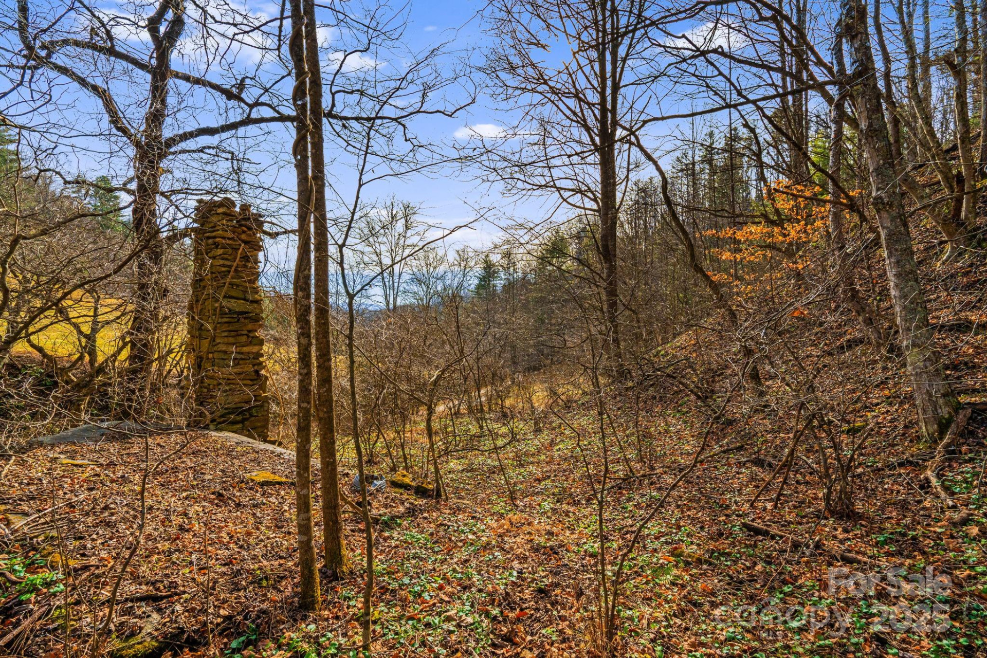 TBD Lost Hollow Road - Photo 12