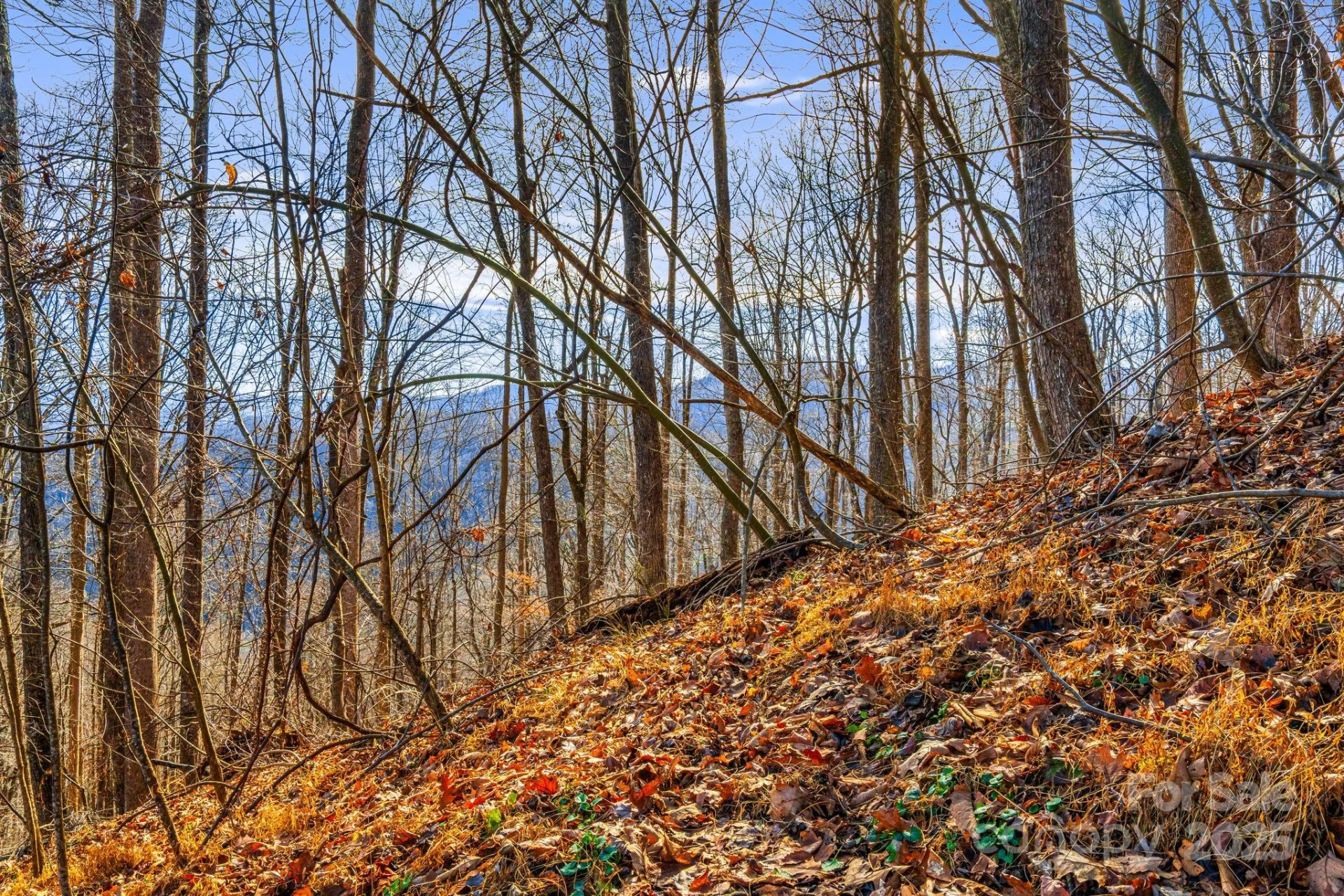 TBD Lost Hollow Road - Photo 13