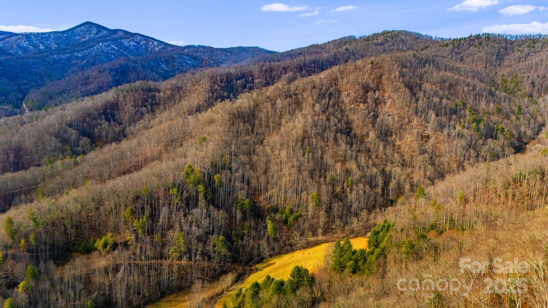 TBD Lost Hollow Road - Photo 15