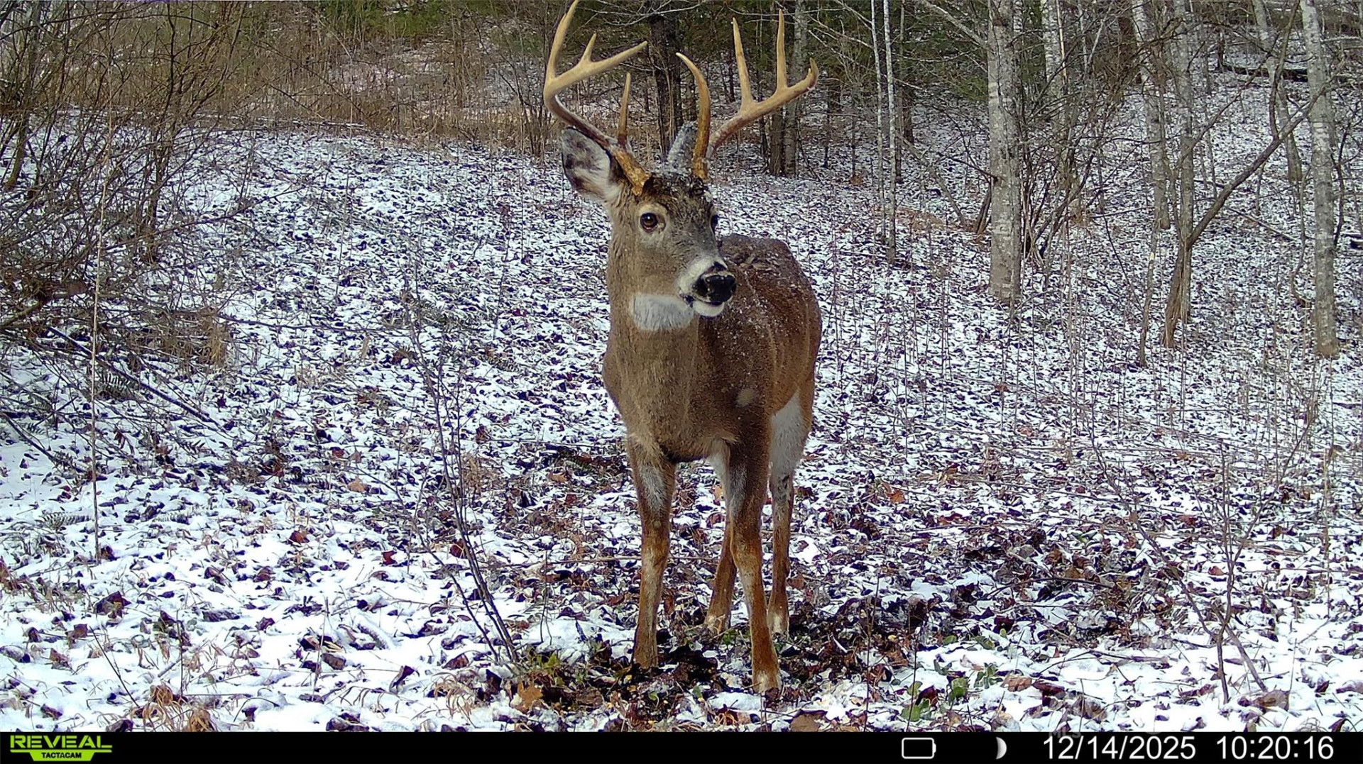 TBD Lost Hollow Road - Photo 16