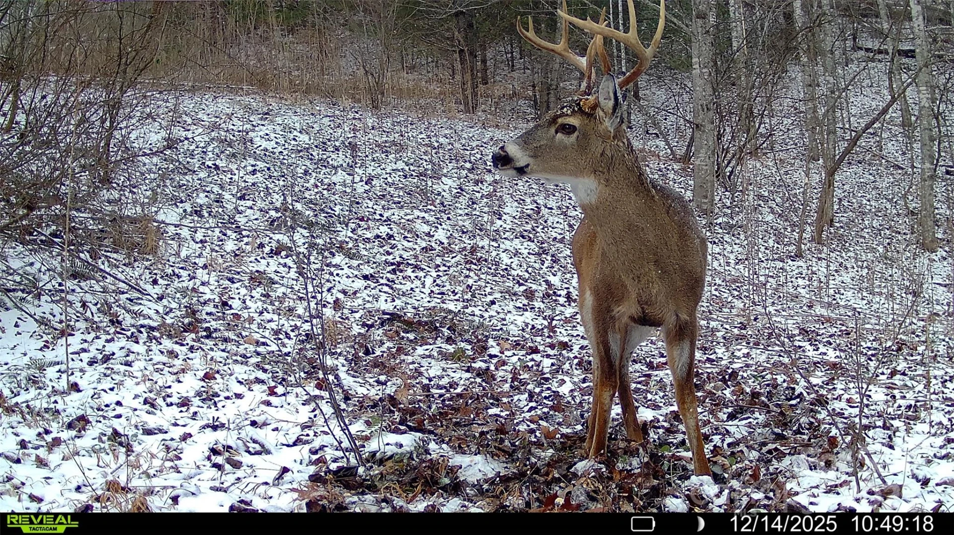 TBD Lost Hollow Road - Photo 17