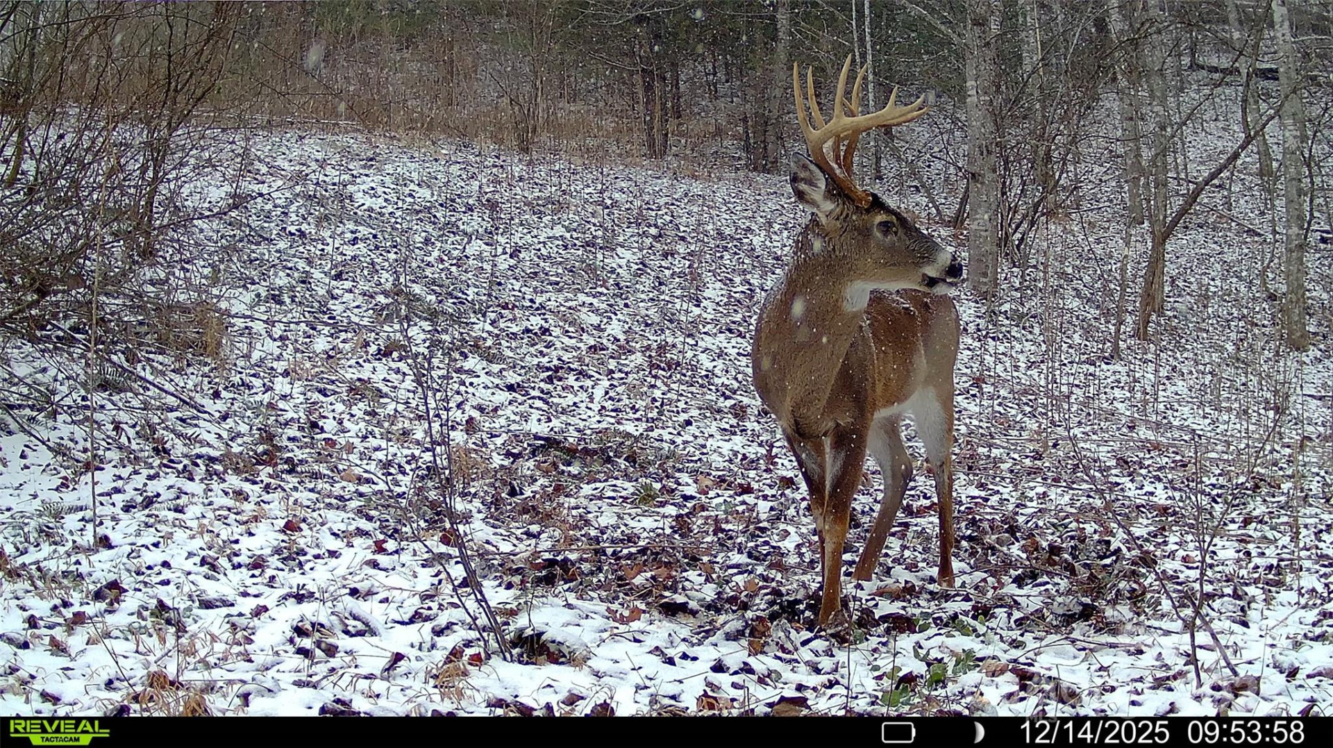 TBD Lost Hollow Road - Photo 18