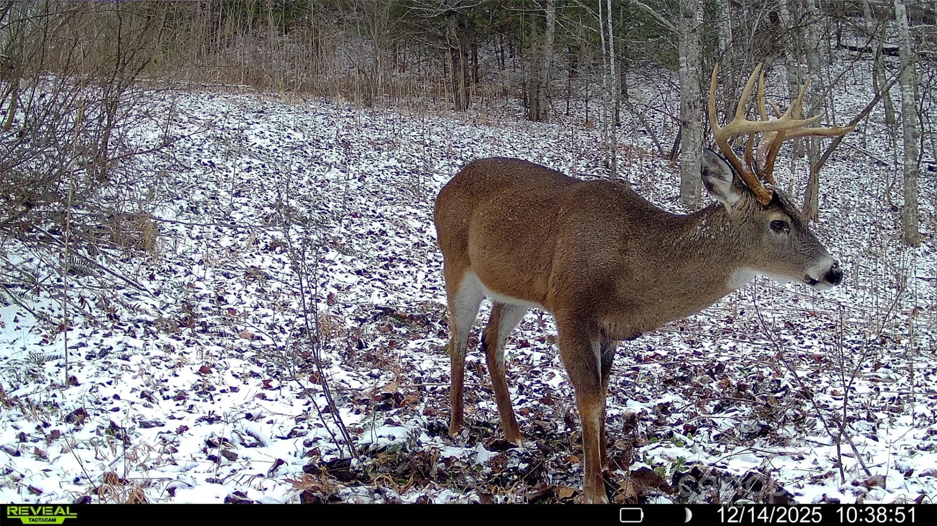 TBD Lost Hollow Road - Photo 19
