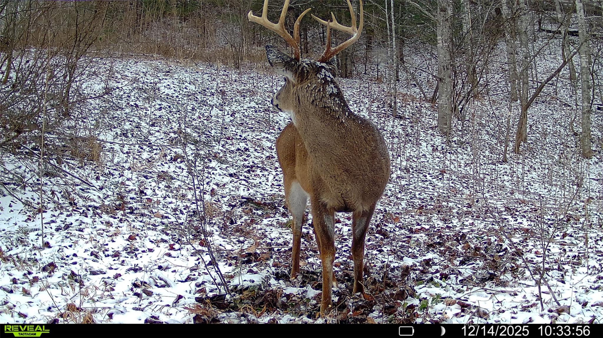 TBD Lost Hollow Road - Photo 20