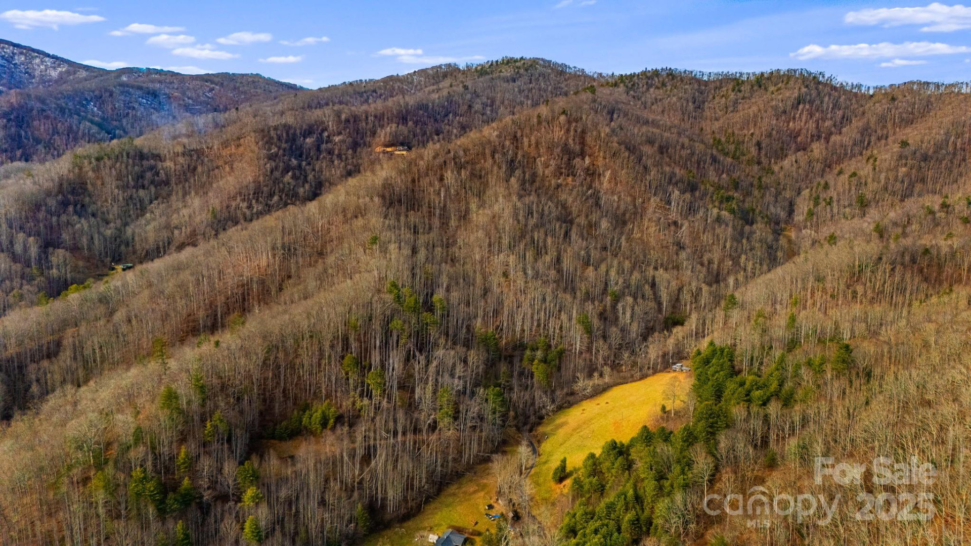 TBD Lost Hollow Road - Photo 3