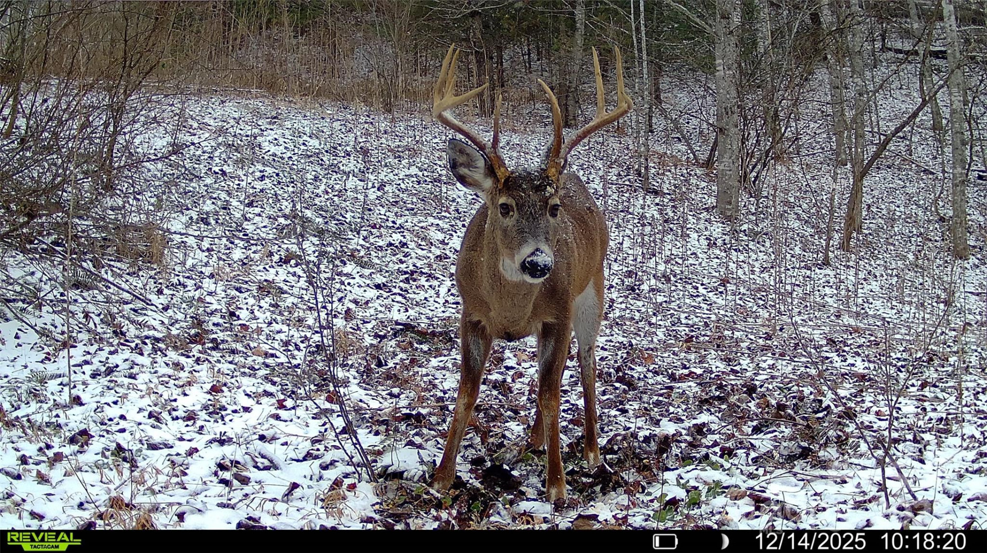 TBD Lost Hollow Road - Photo 21