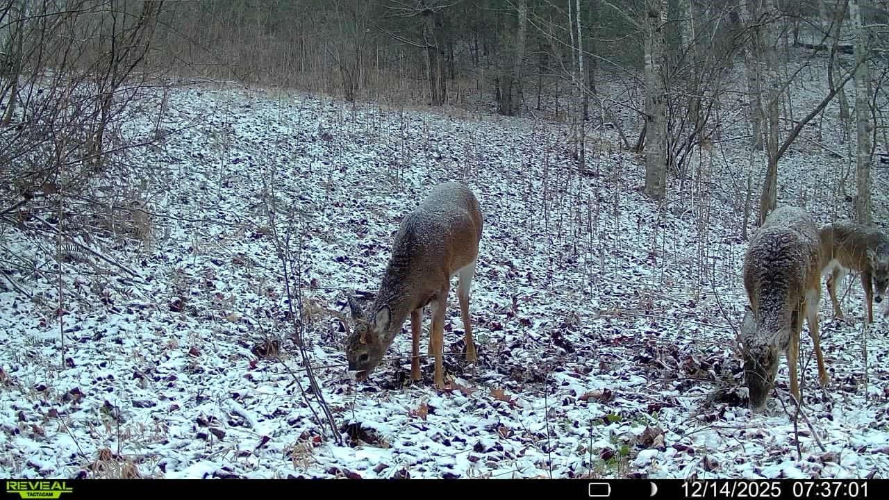 TBD Lost Hollow Road - Photo 22