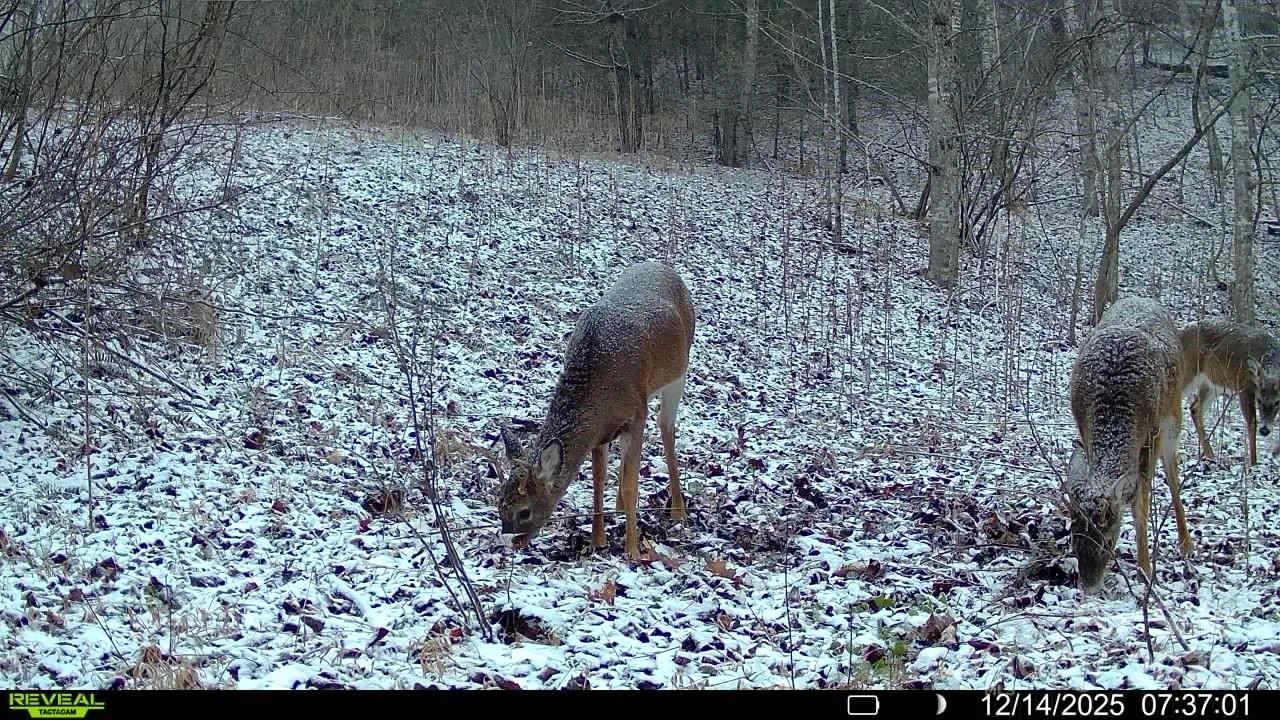 TBD Lost Hollow Road - Photo 22