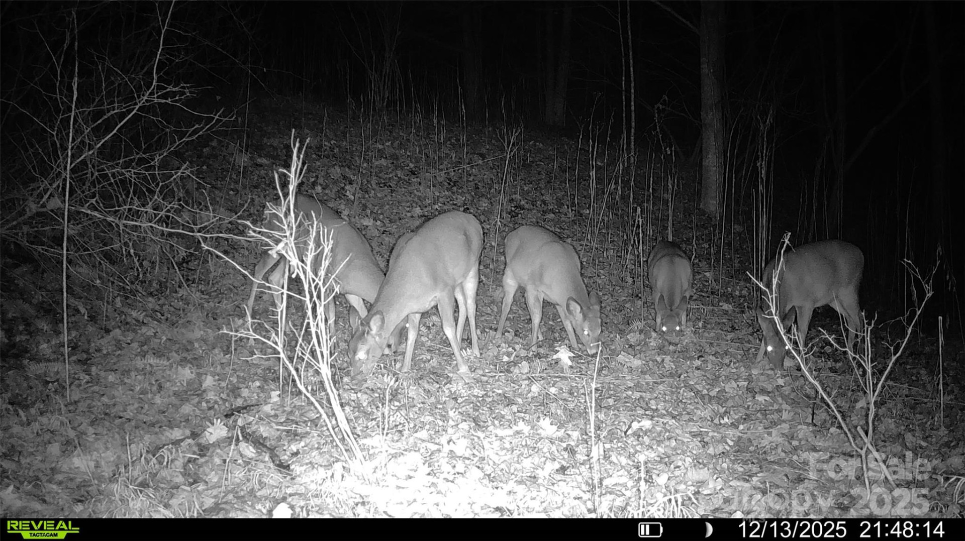 TBD Lost Hollow Road - Photo 23