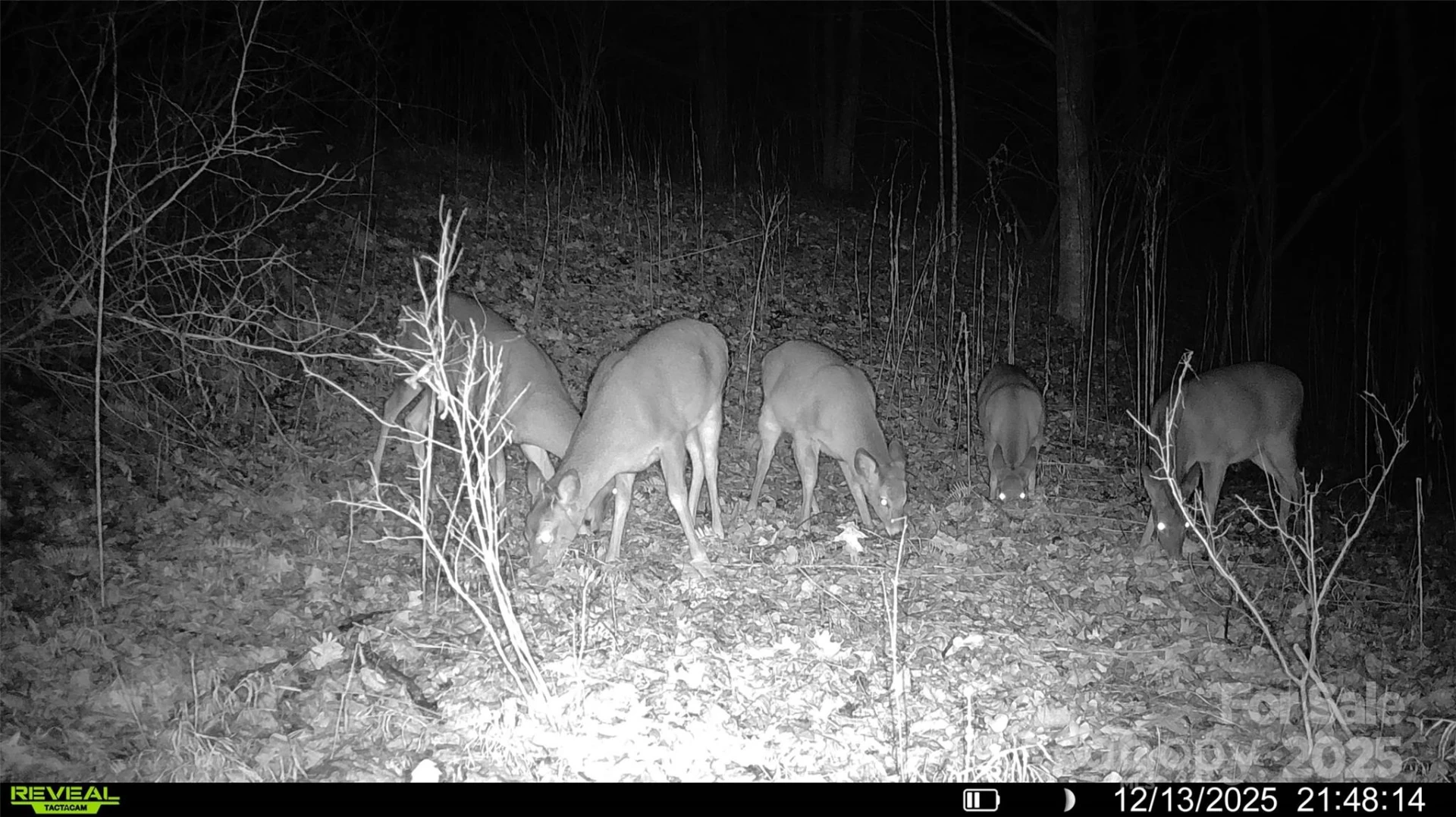 TBD Lost Hollow Road - Photo 23