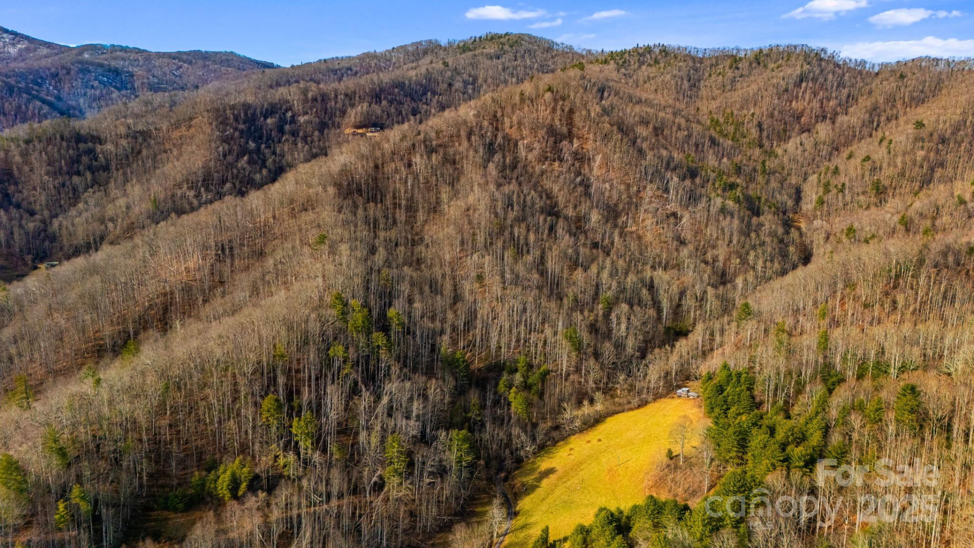 TBD Lost Hollow Road - Photo 4