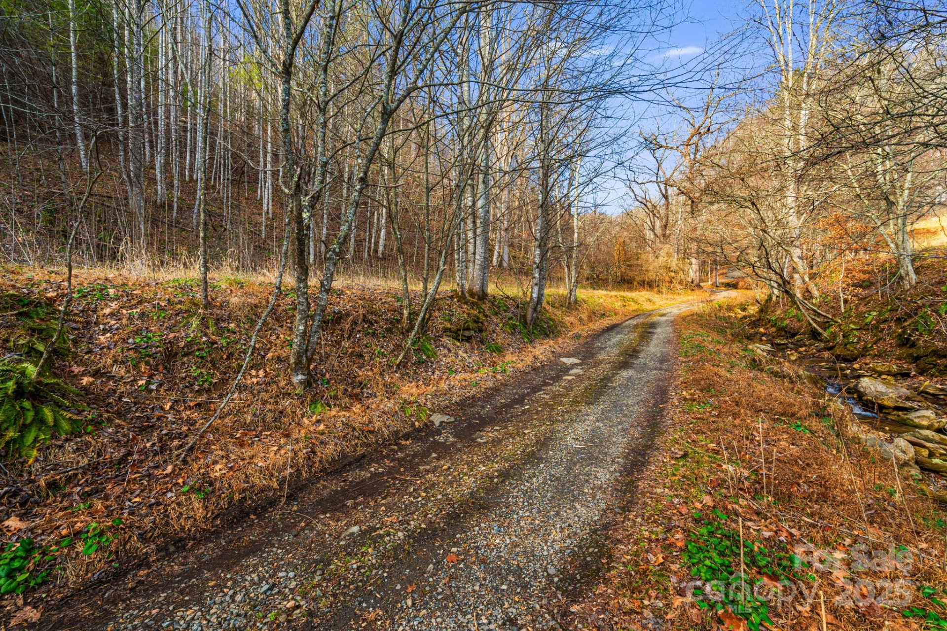 TBD Lost Hollow Road - Photo 5