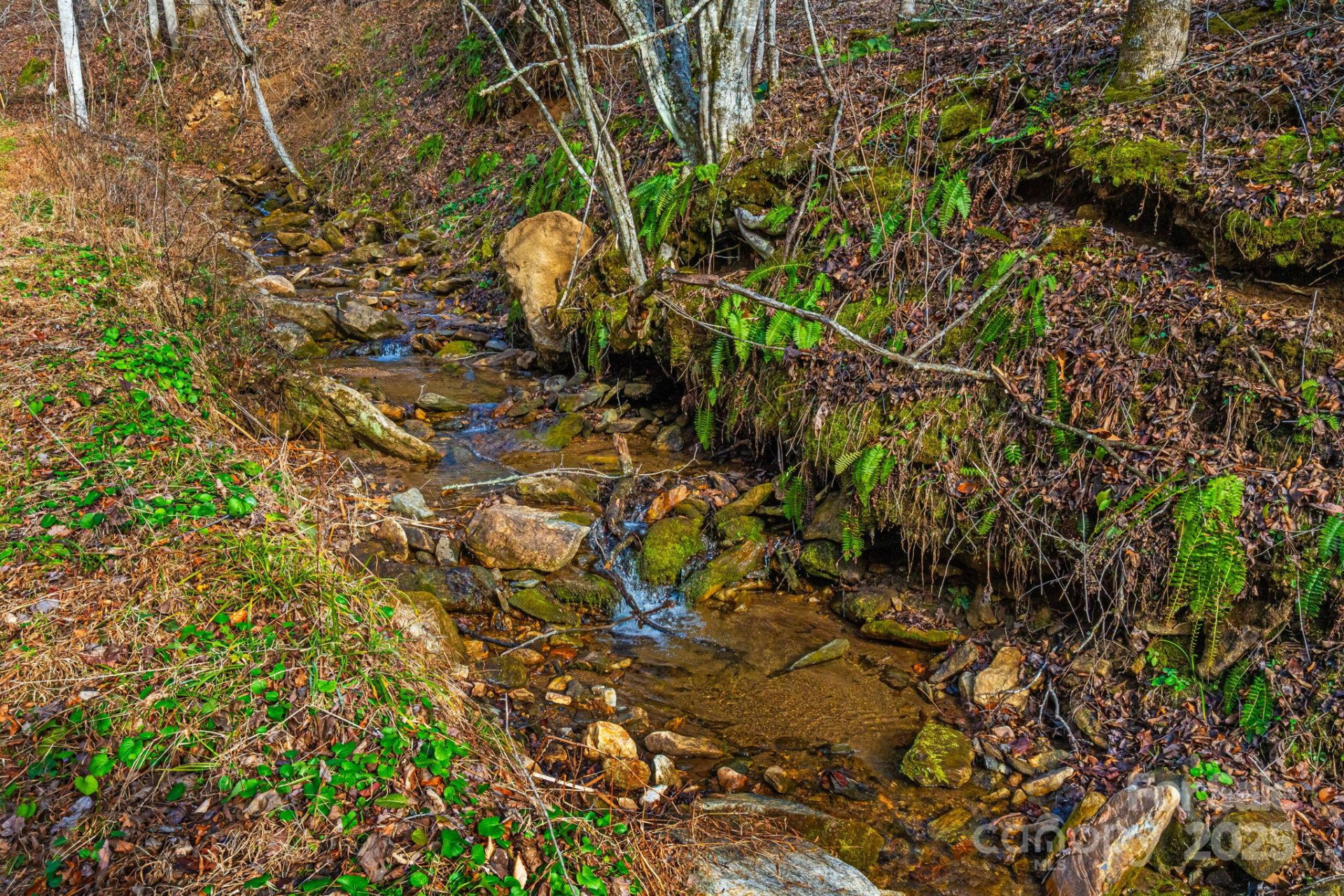 TBD Lost Hollow Road - Photo 6