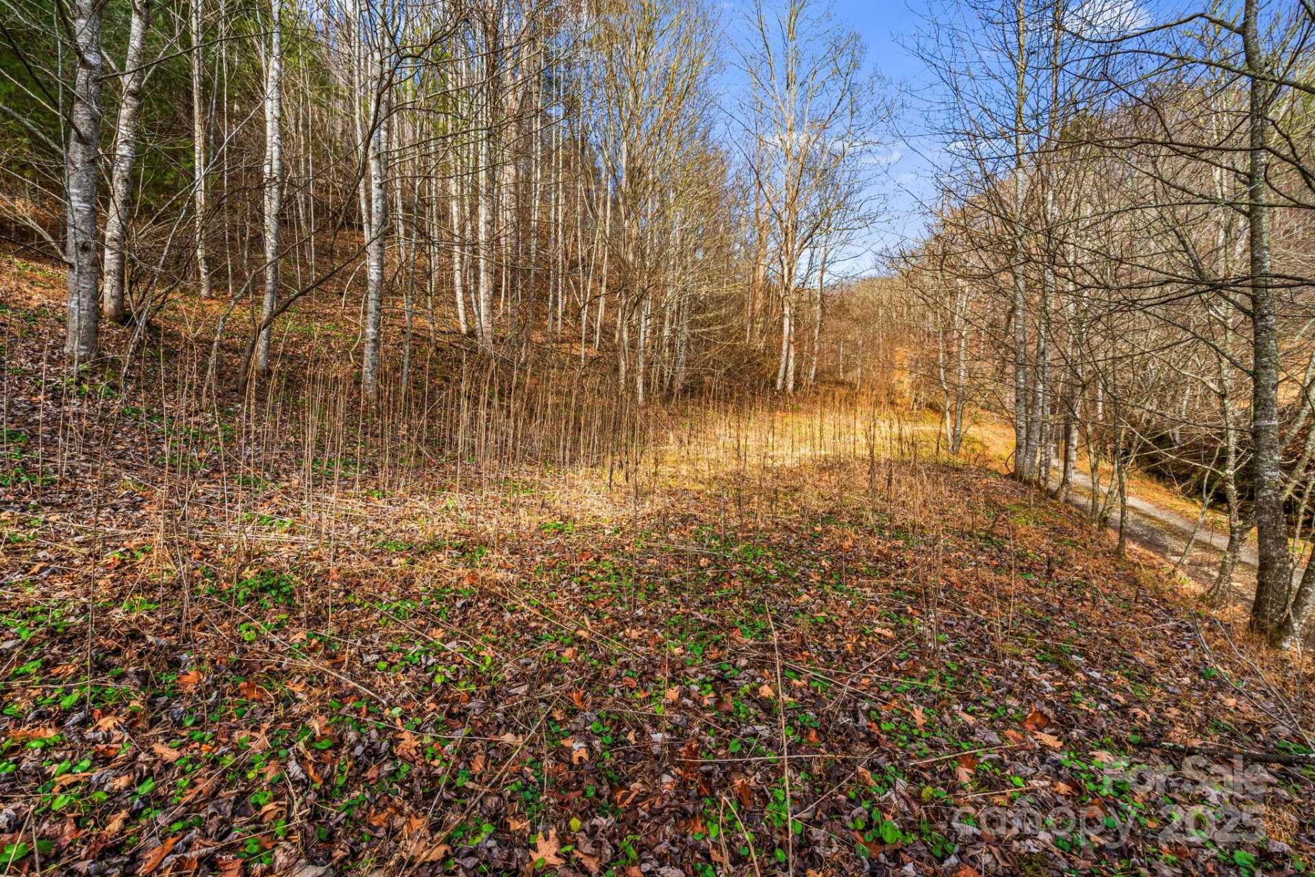 TBD Lost Hollow Road - Photo 7