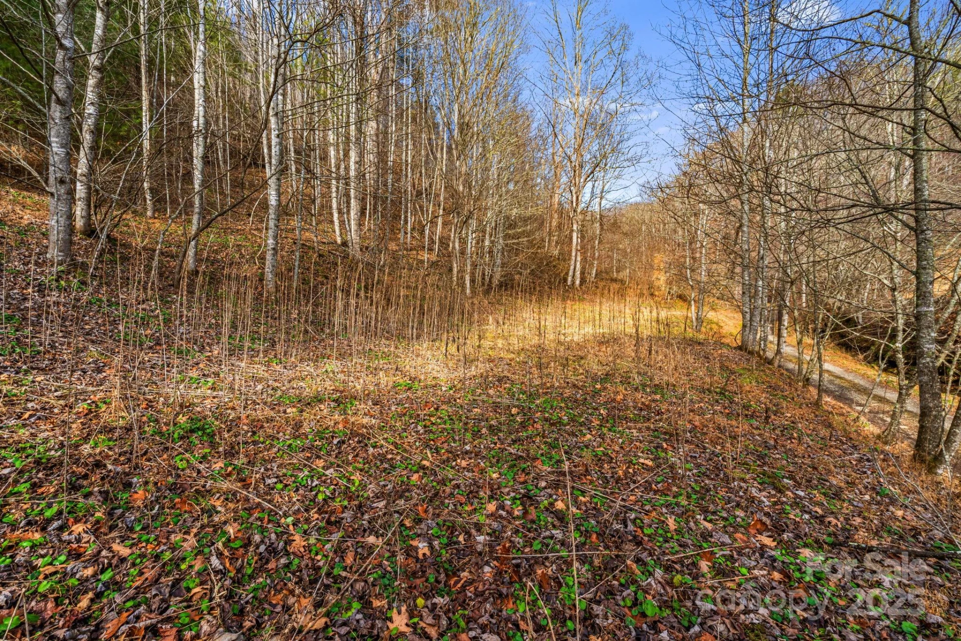 TBD Lost Hollow Road - Photo 7