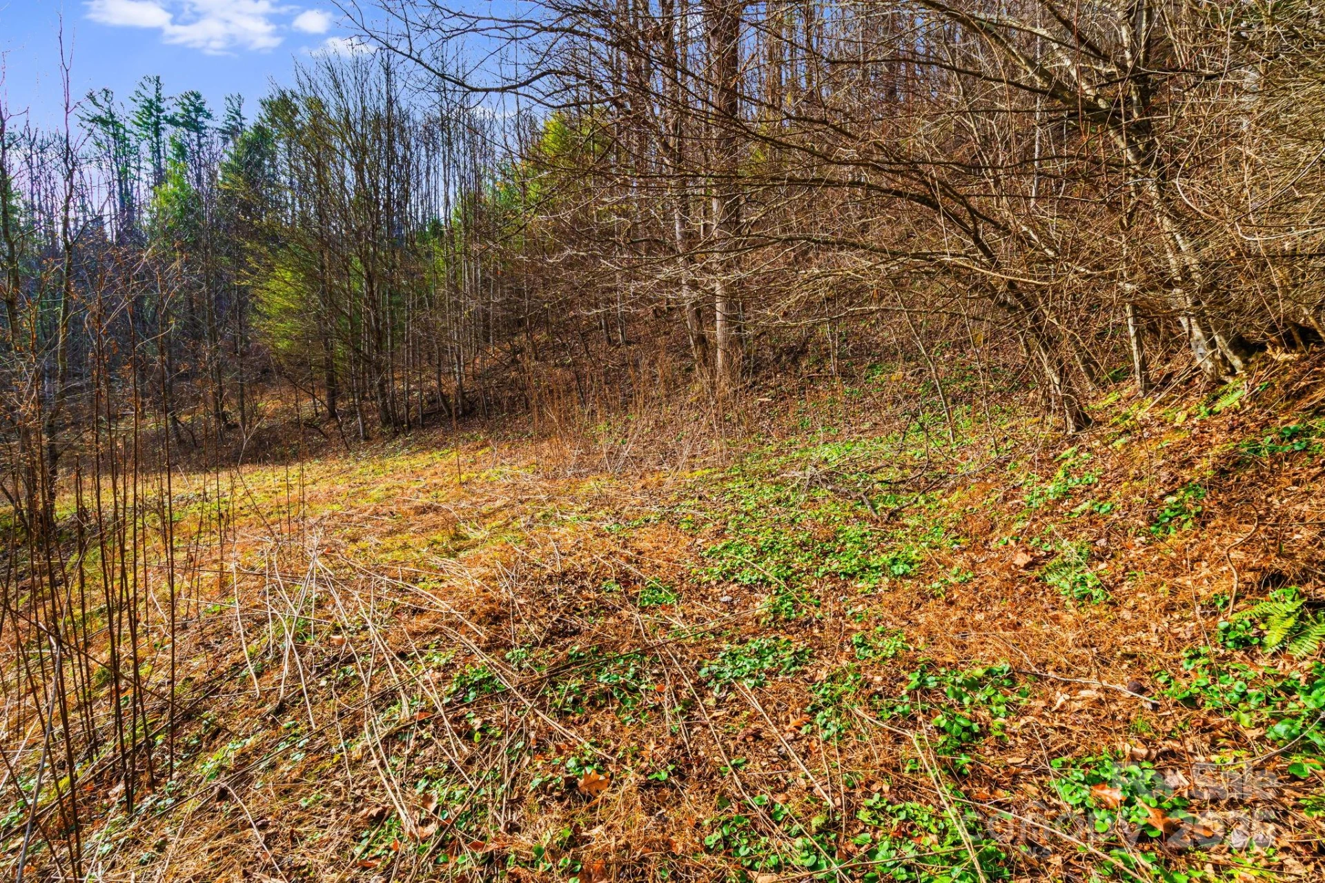 TBD Lost Hollow Road - Photo 8