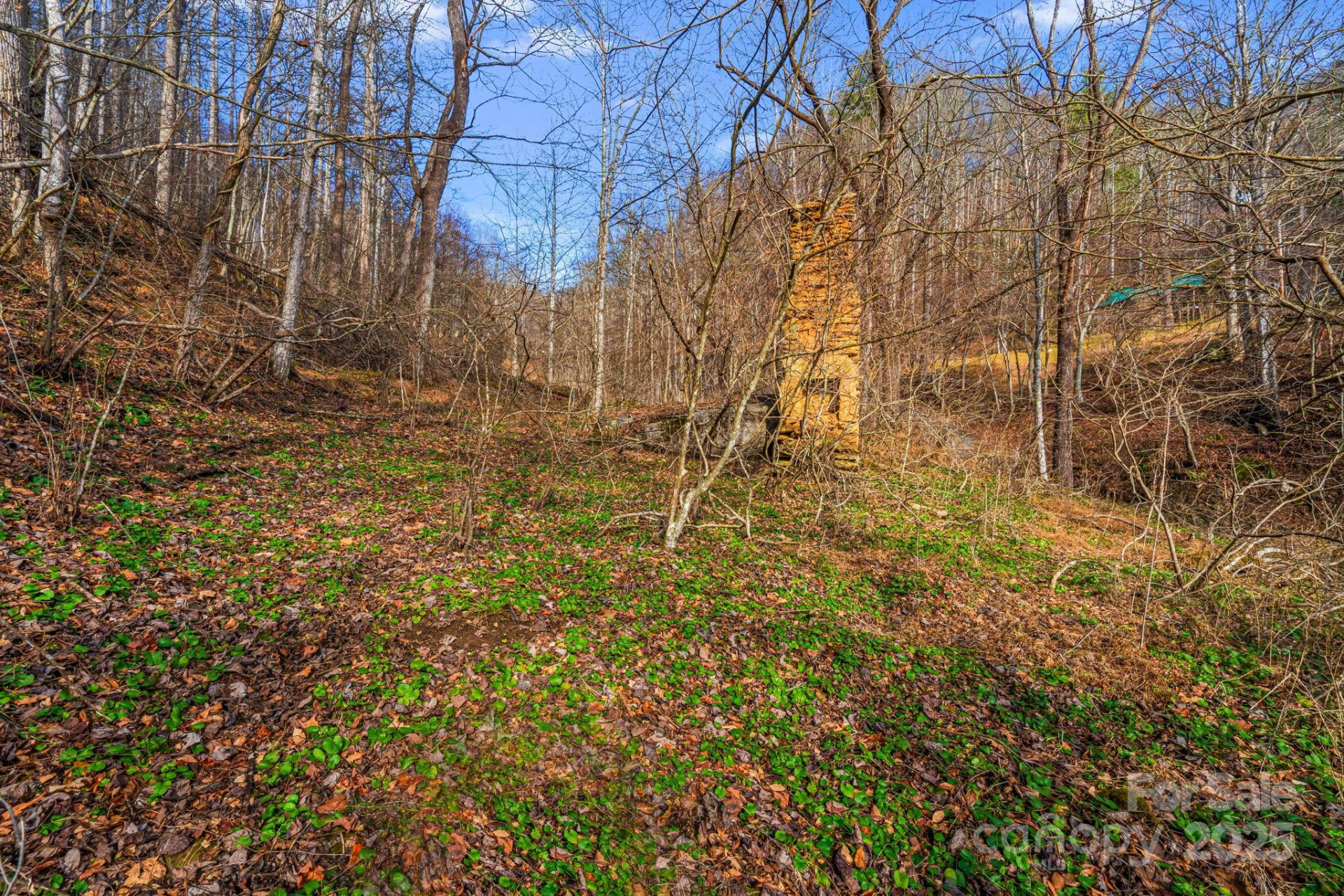 TBD Lost Hollow Road - Photo 9
