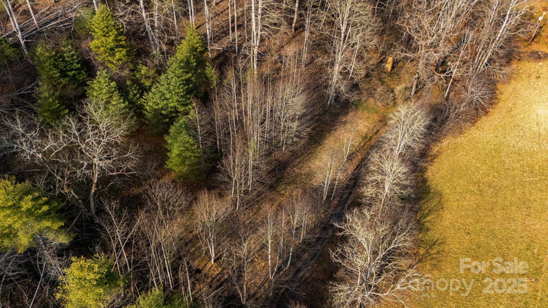 TBD Lost Hollow Road - Photo 10
