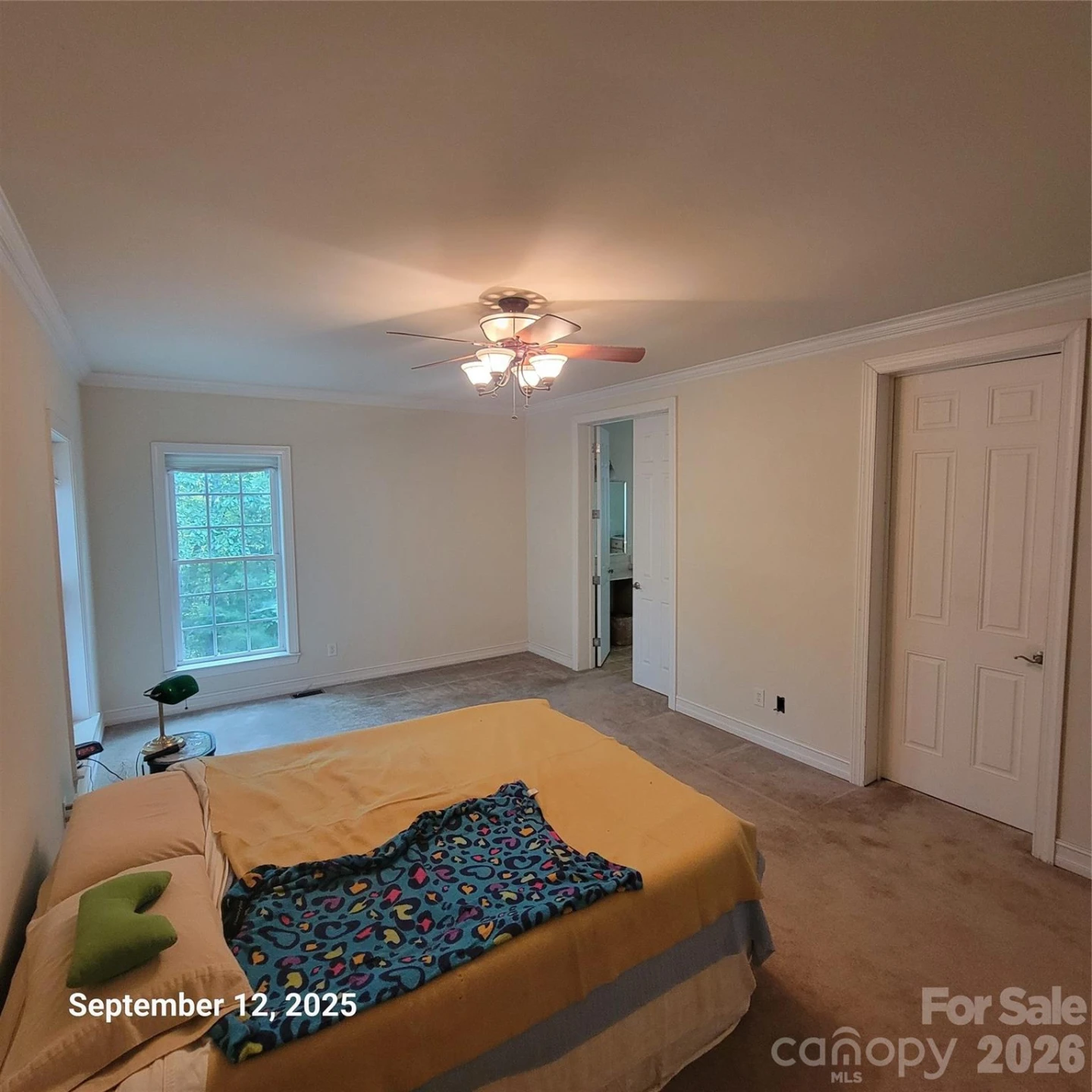 31 Reeds Creek Road - Photo 26