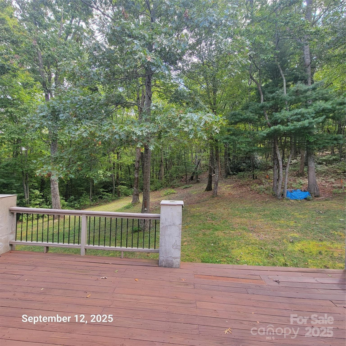 31 Reeds Creek Road - Photo 7