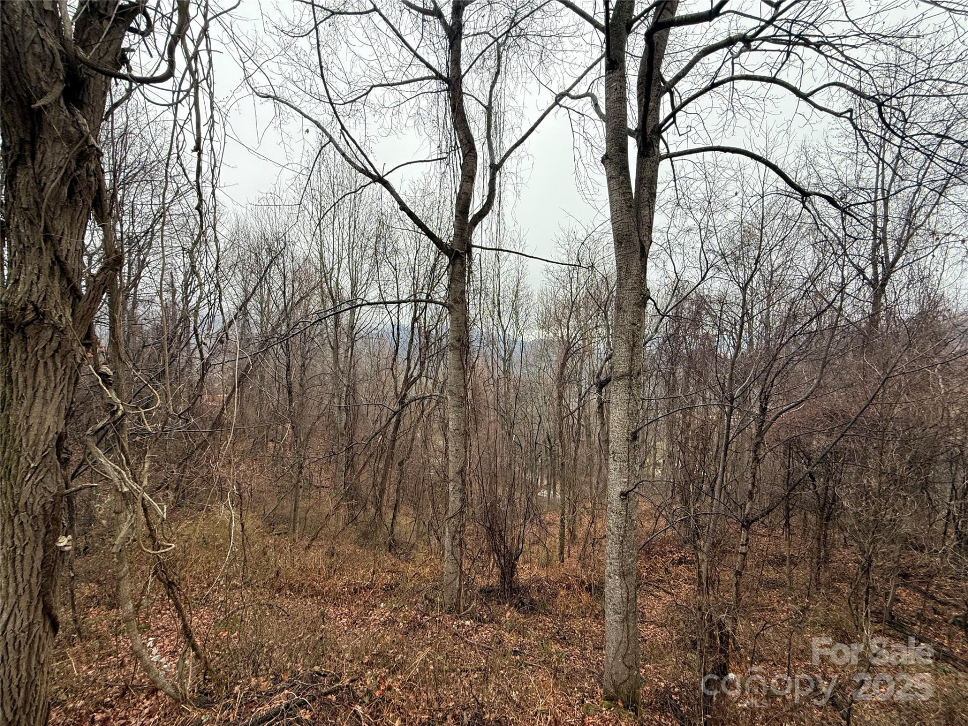 201 Mountain Vista Road - Photo 21