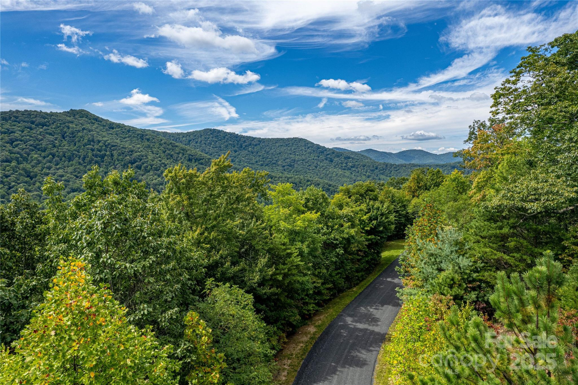 579 Bluemist Way - Photo 2