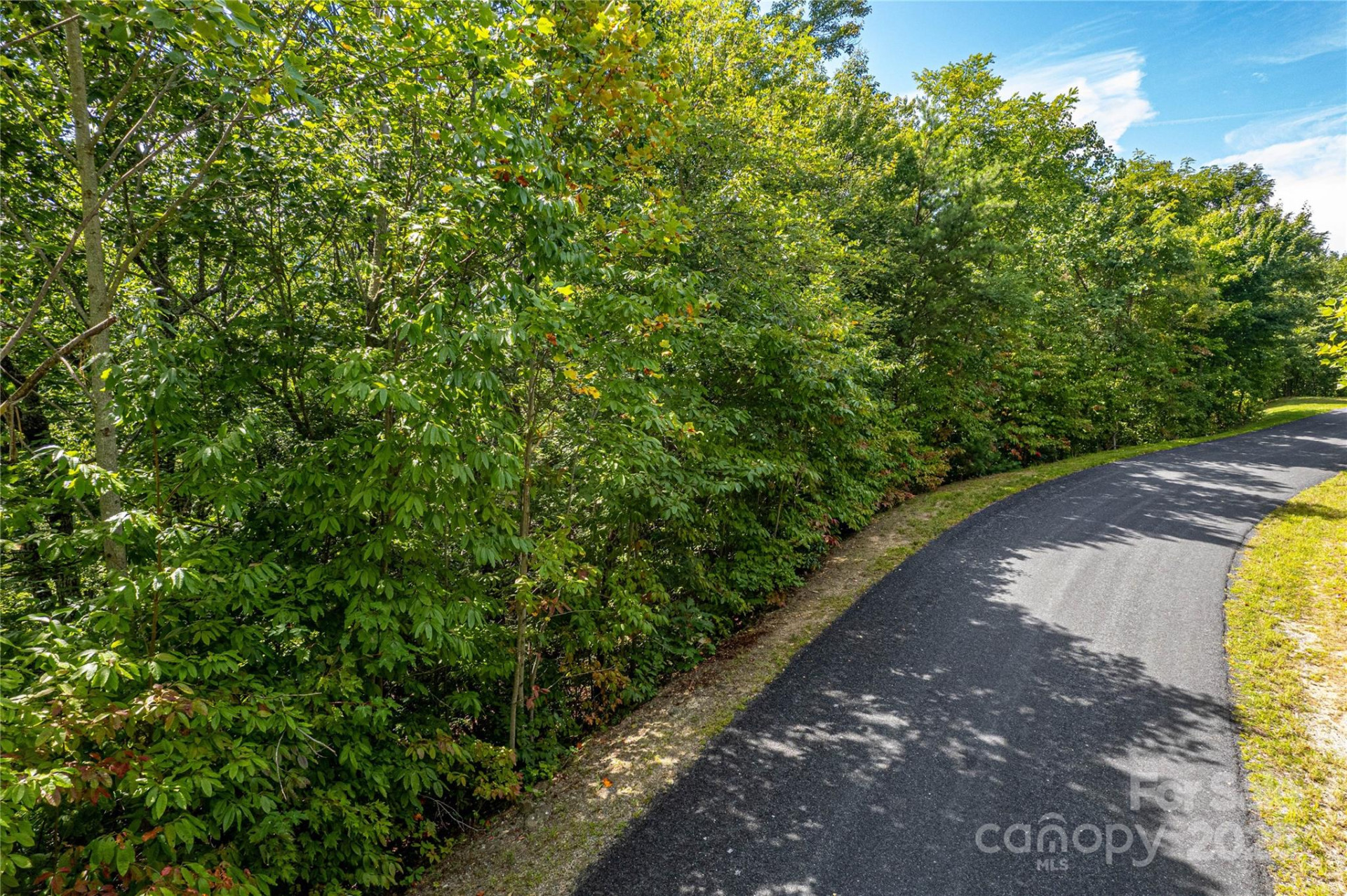 579 Bluemist Way - Photo 12