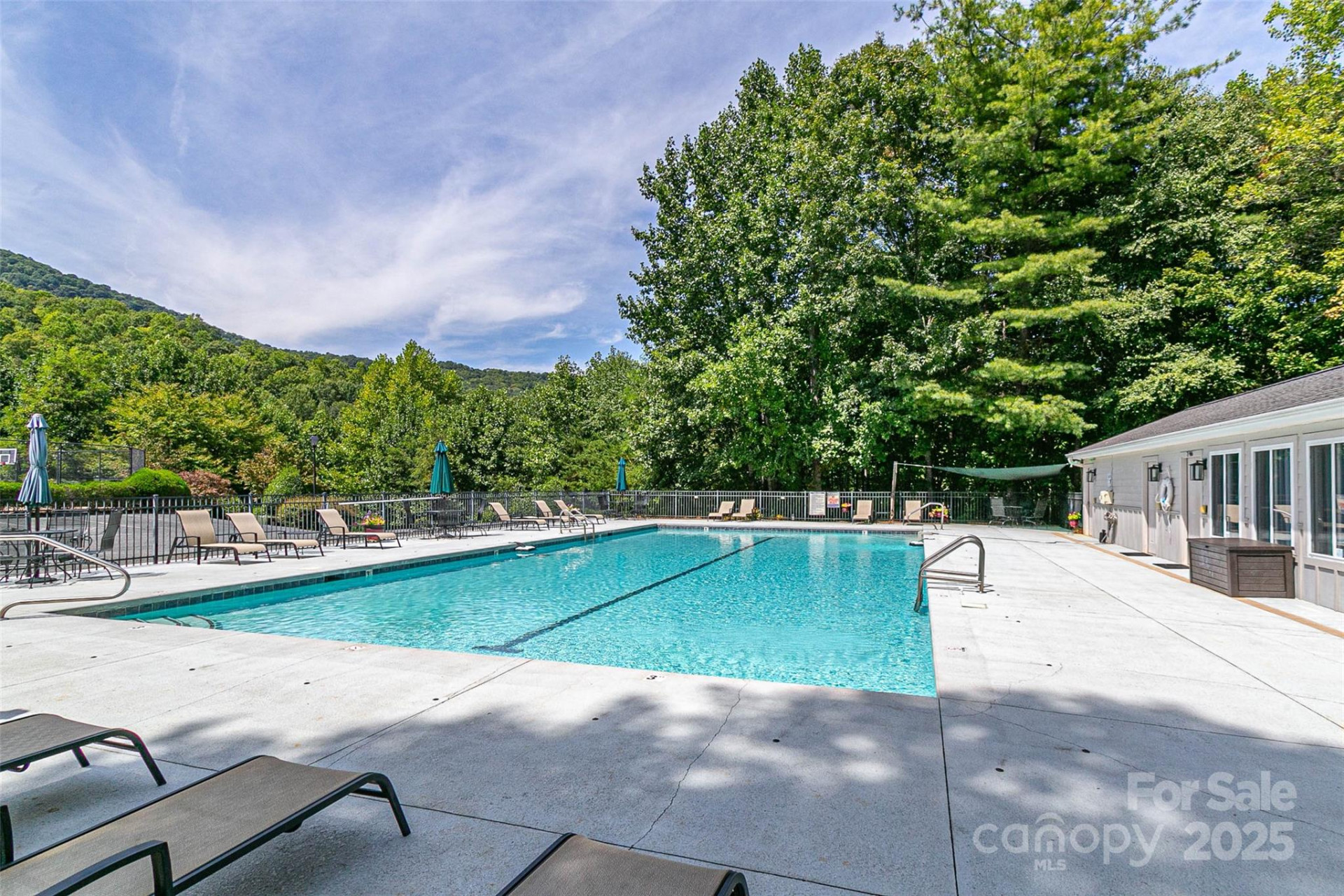 579 Bluemist Way - Photo 13