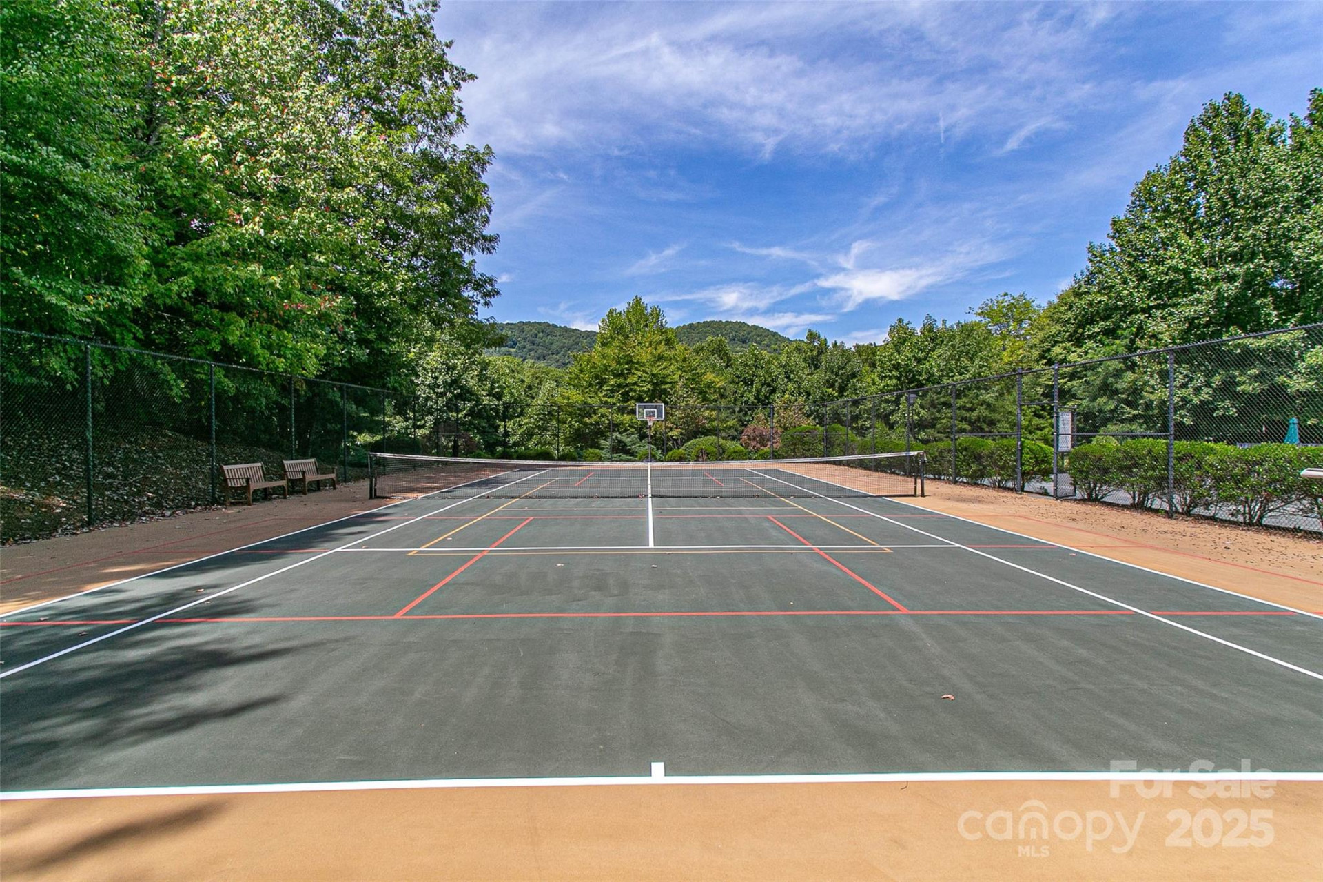 579 Bluemist Way - Photo 15