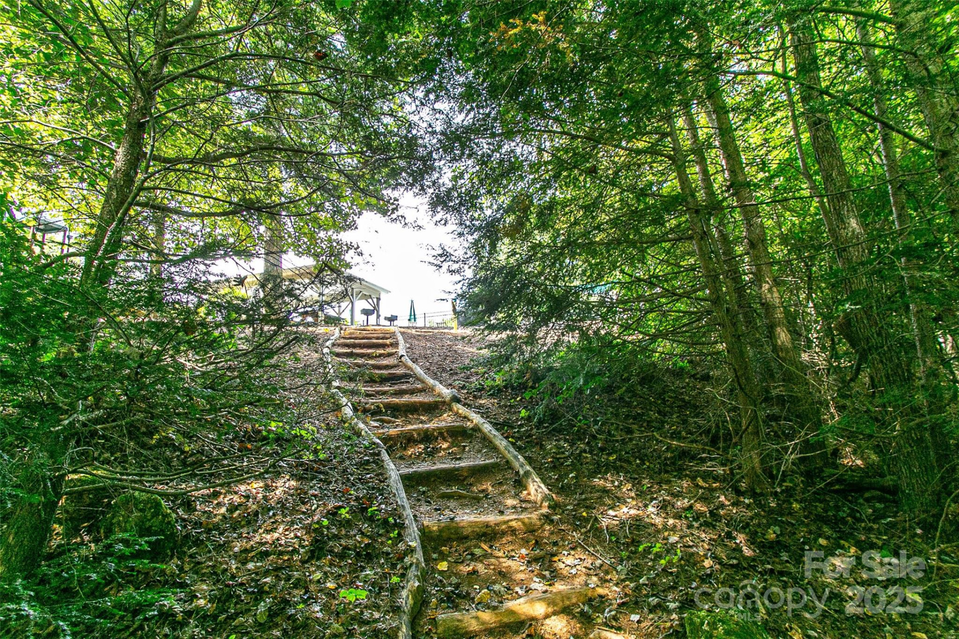 579 Bluemist Way - Photo 18