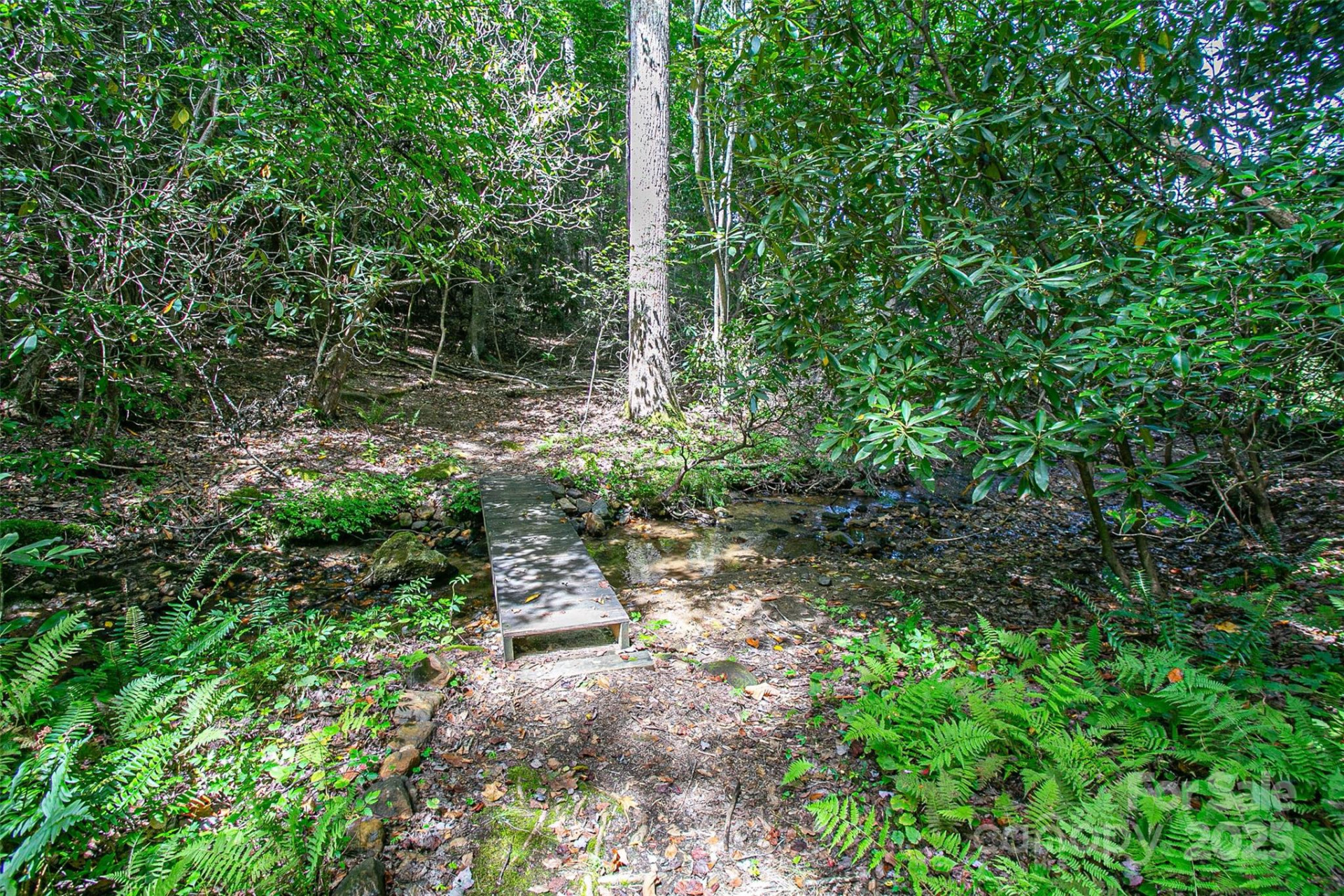 579 Bluemist Way - Photo 19