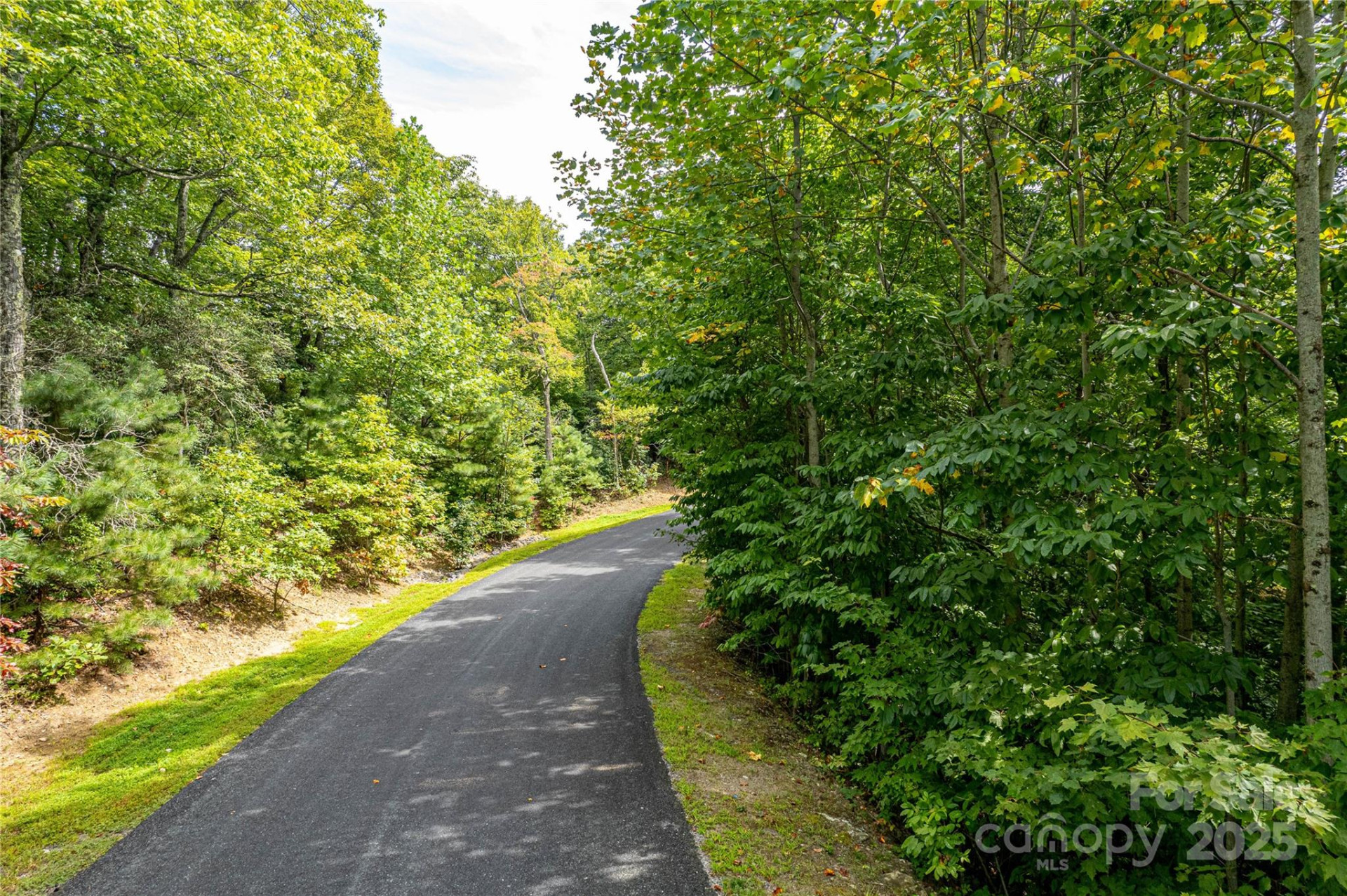 579 Bluemist Way - Photo 4