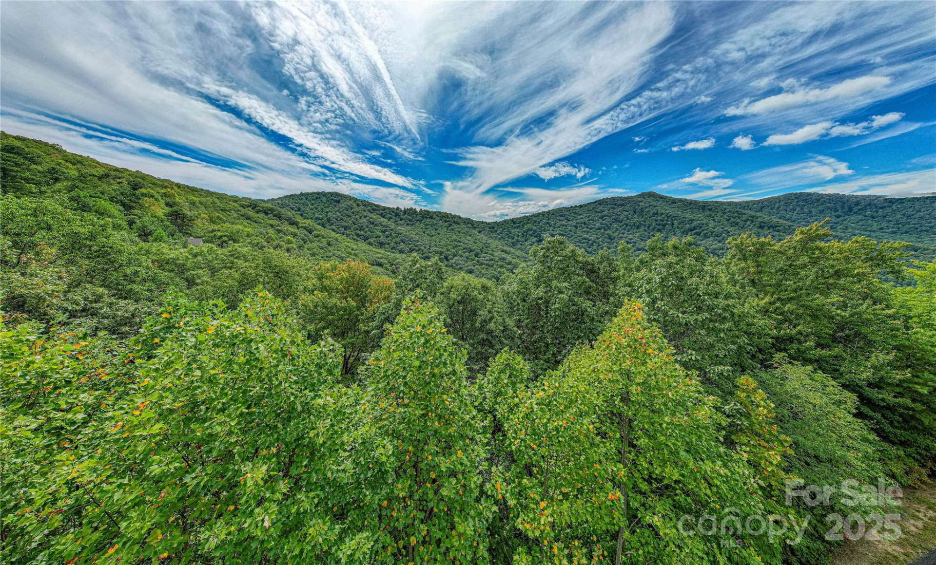 579 Bluemist Way - Photo 5