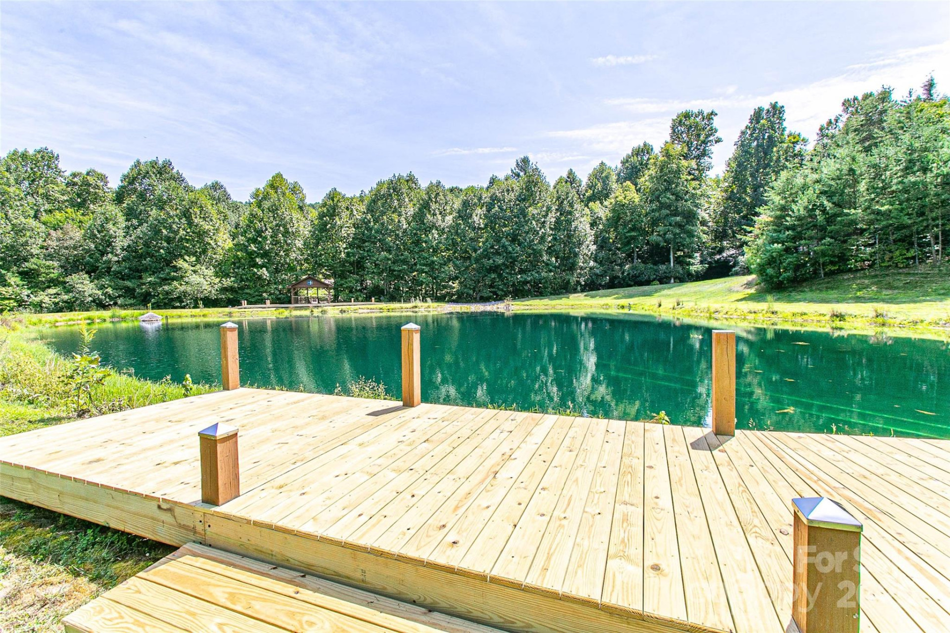 579 Bluemist Way - Photo 9