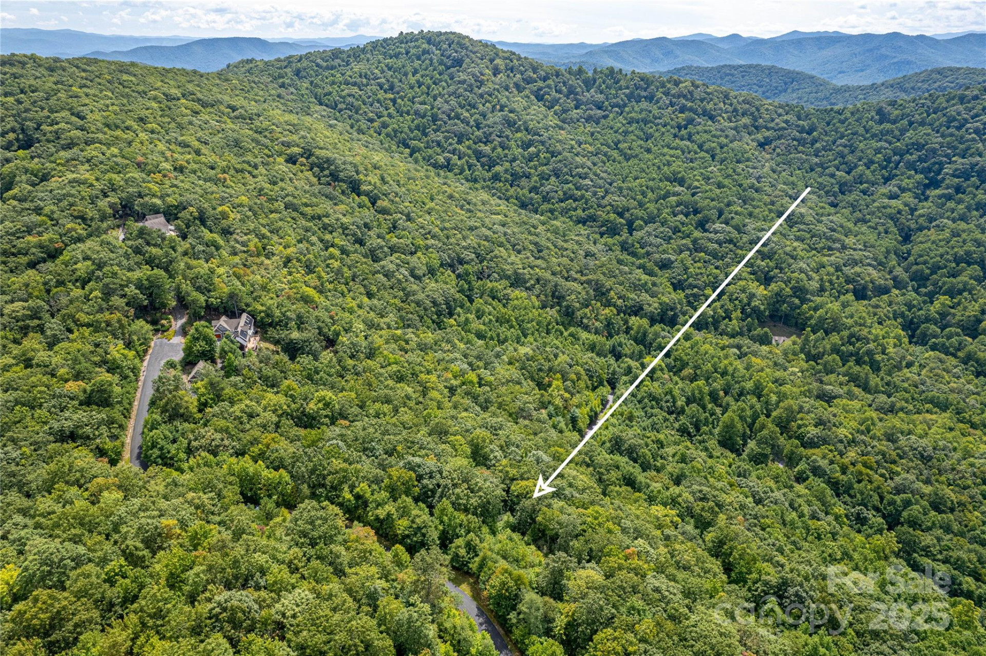 579 Bluemist Way - Photo 10