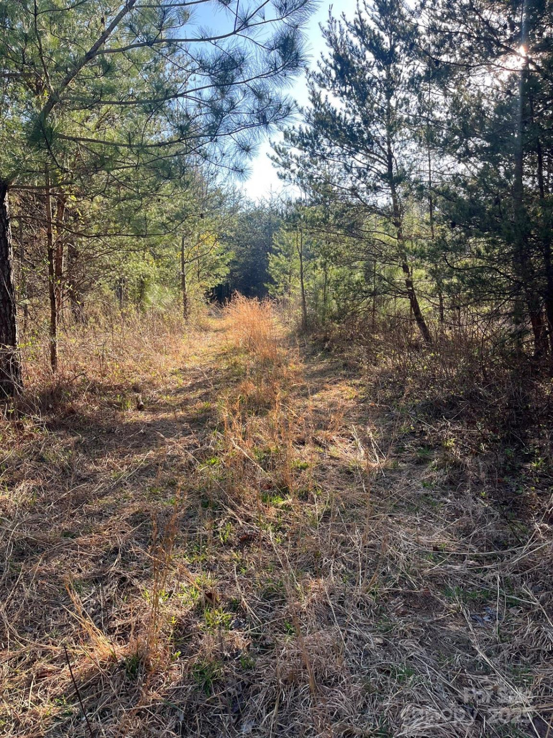 V/L Southern Way - Photo 2