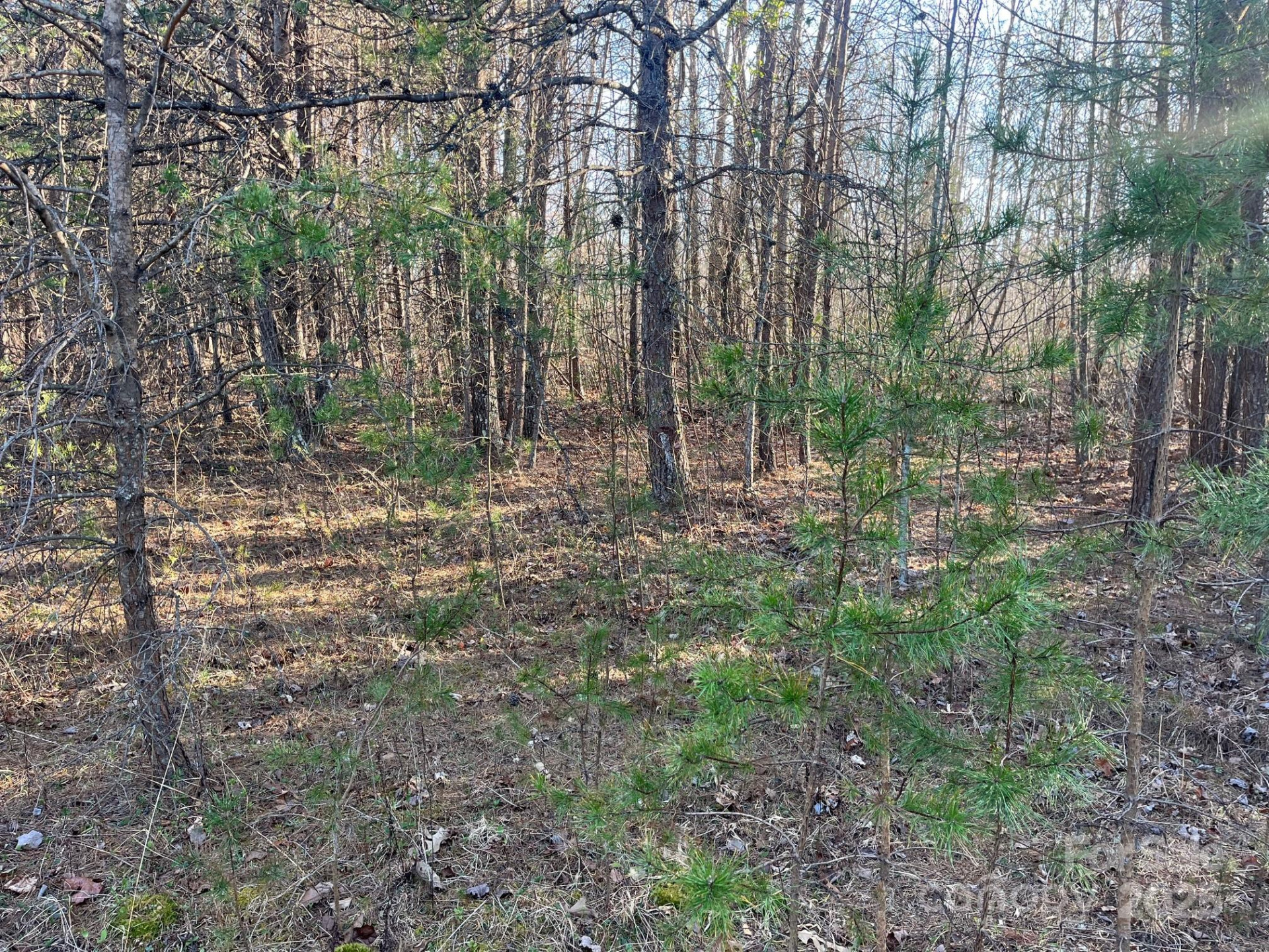 V/L Southern Way - Photo 11