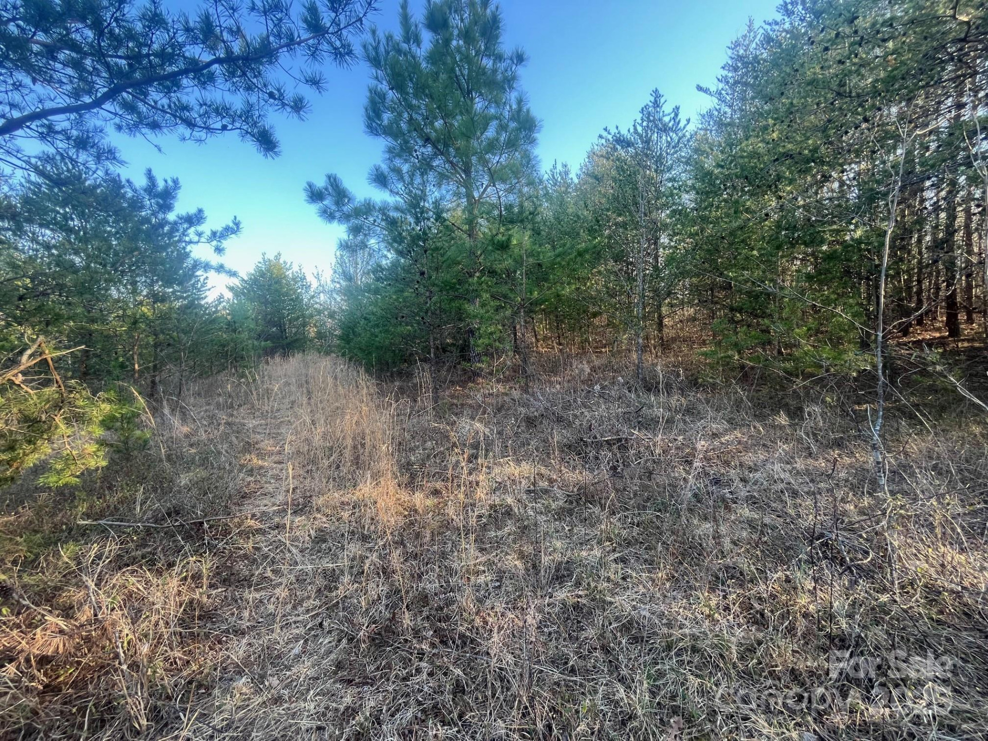 V/L Southern Way - Photo 12