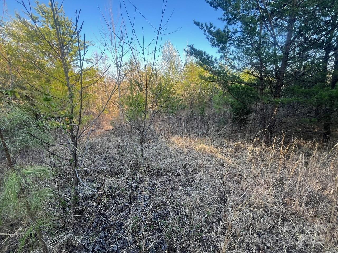 V/L Southern Way - Photo 16