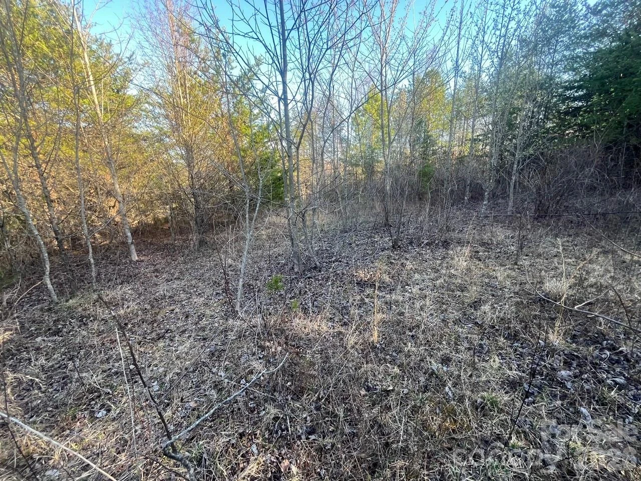 V/L Southern Way - Photo 16